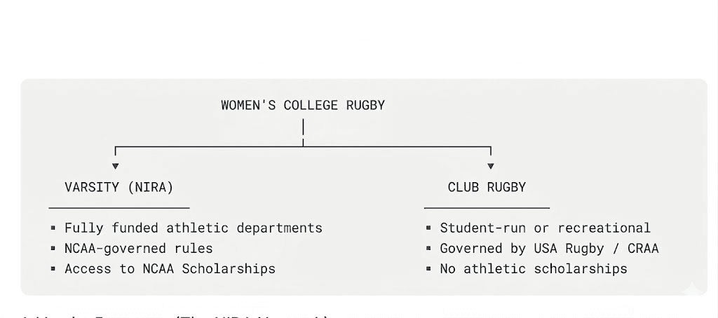 A chart breaking down NIRA vs Club Rugby