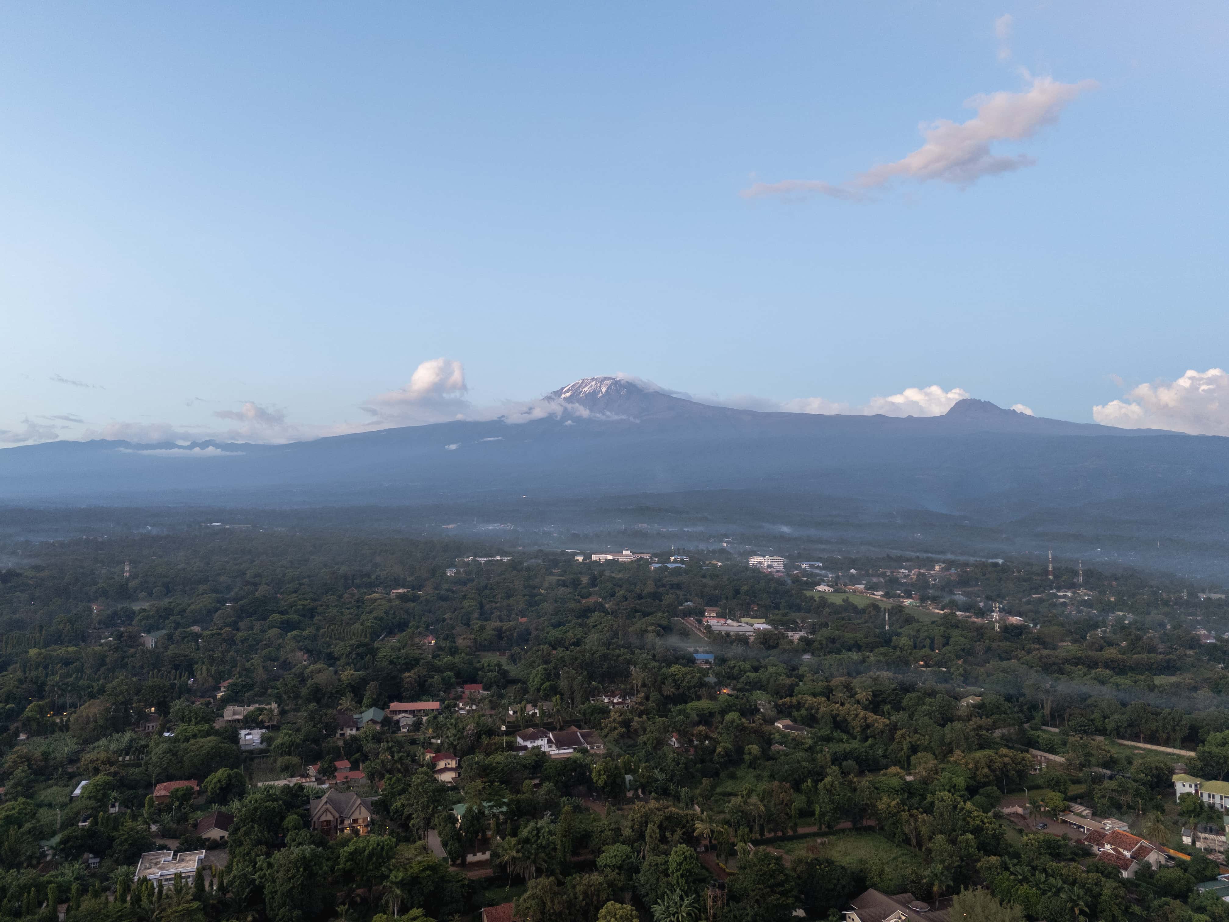 Kilimanjaro montane forest belt on the Lemosho route lower slopes
