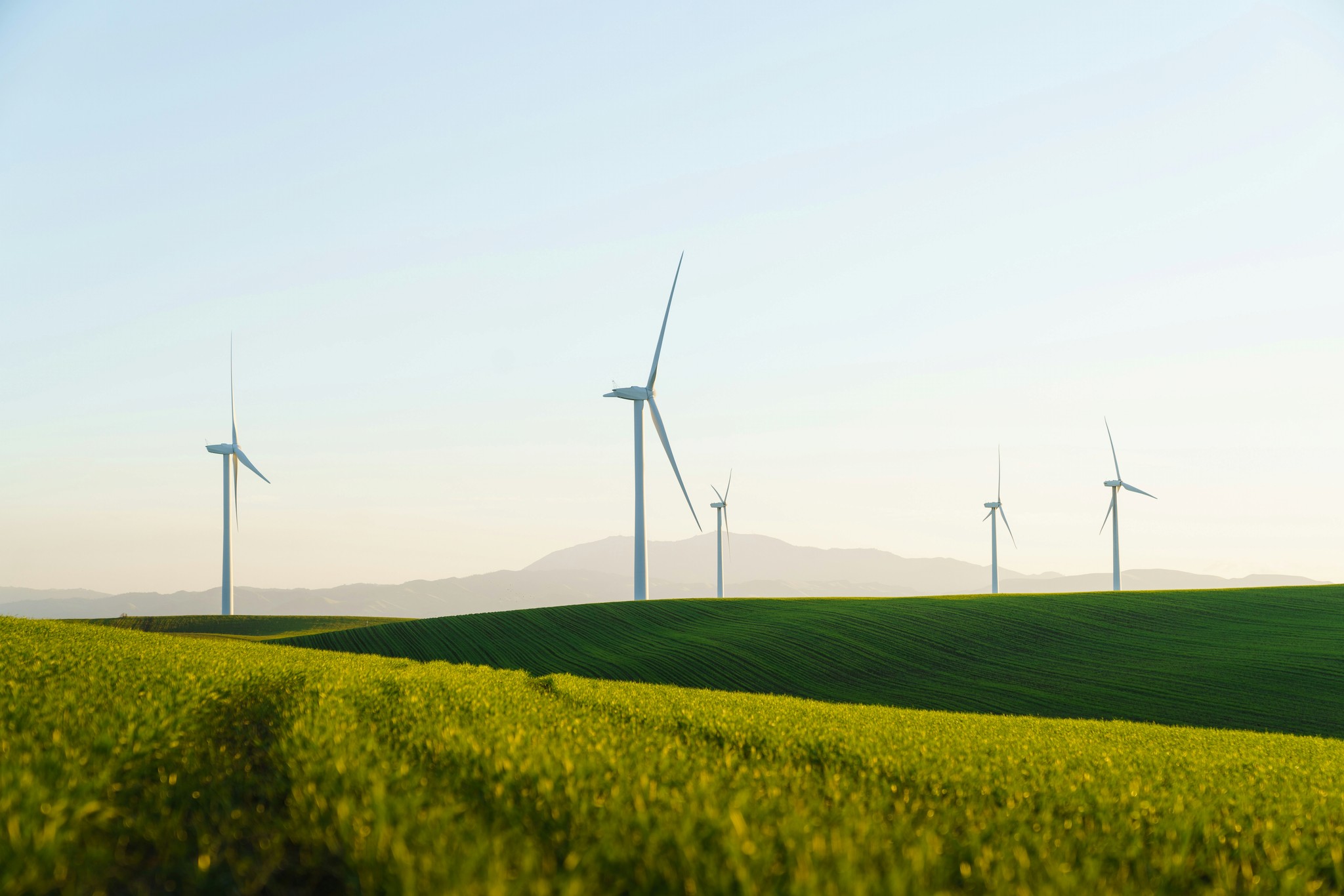 a field of green grass with wind turbines in the background