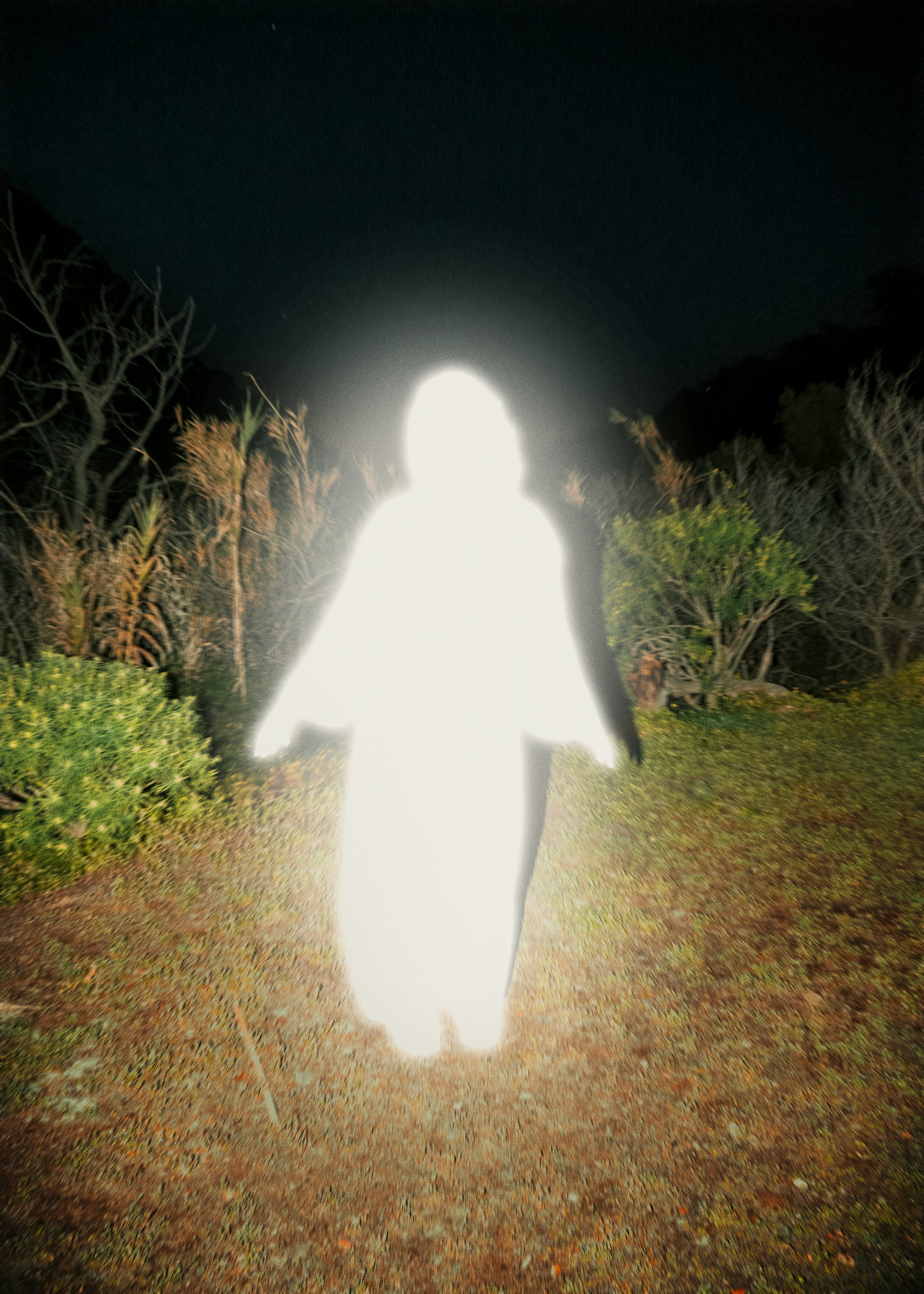 Artist Velvet Flores inside a pond staring at the camera. She is surrounded by beautiful Canary Islands flowers