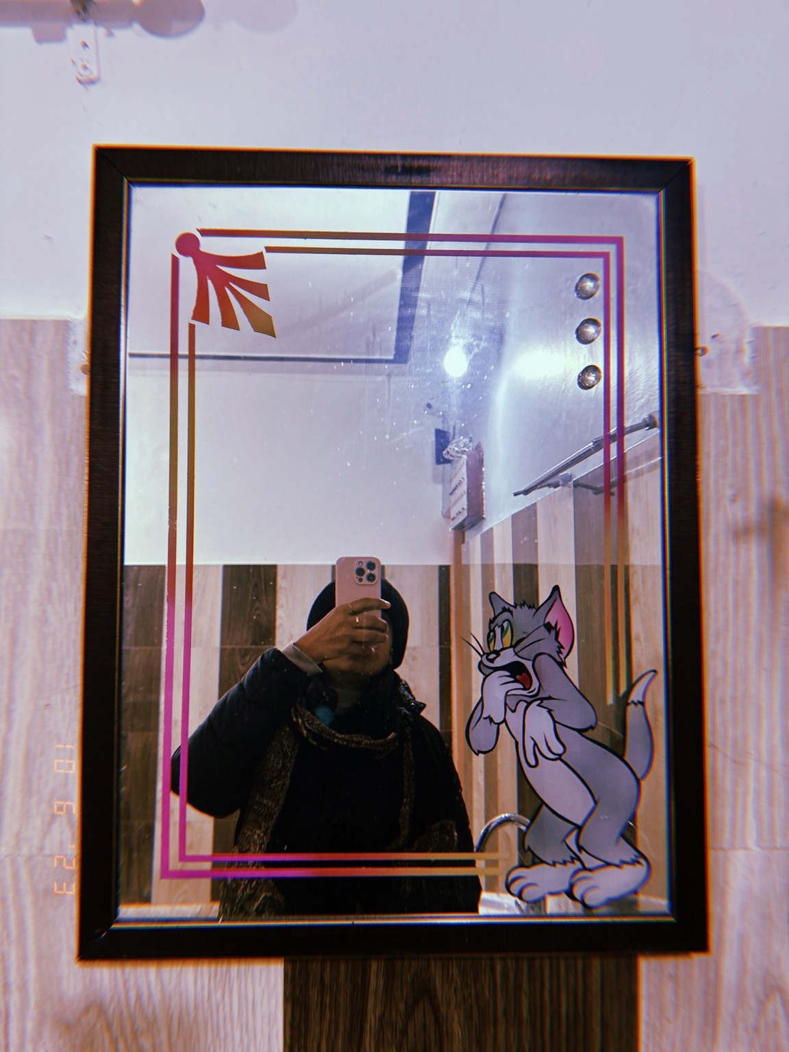 Pranjali taking a self-portrait in a framed mirror decorated with Tom the cat.