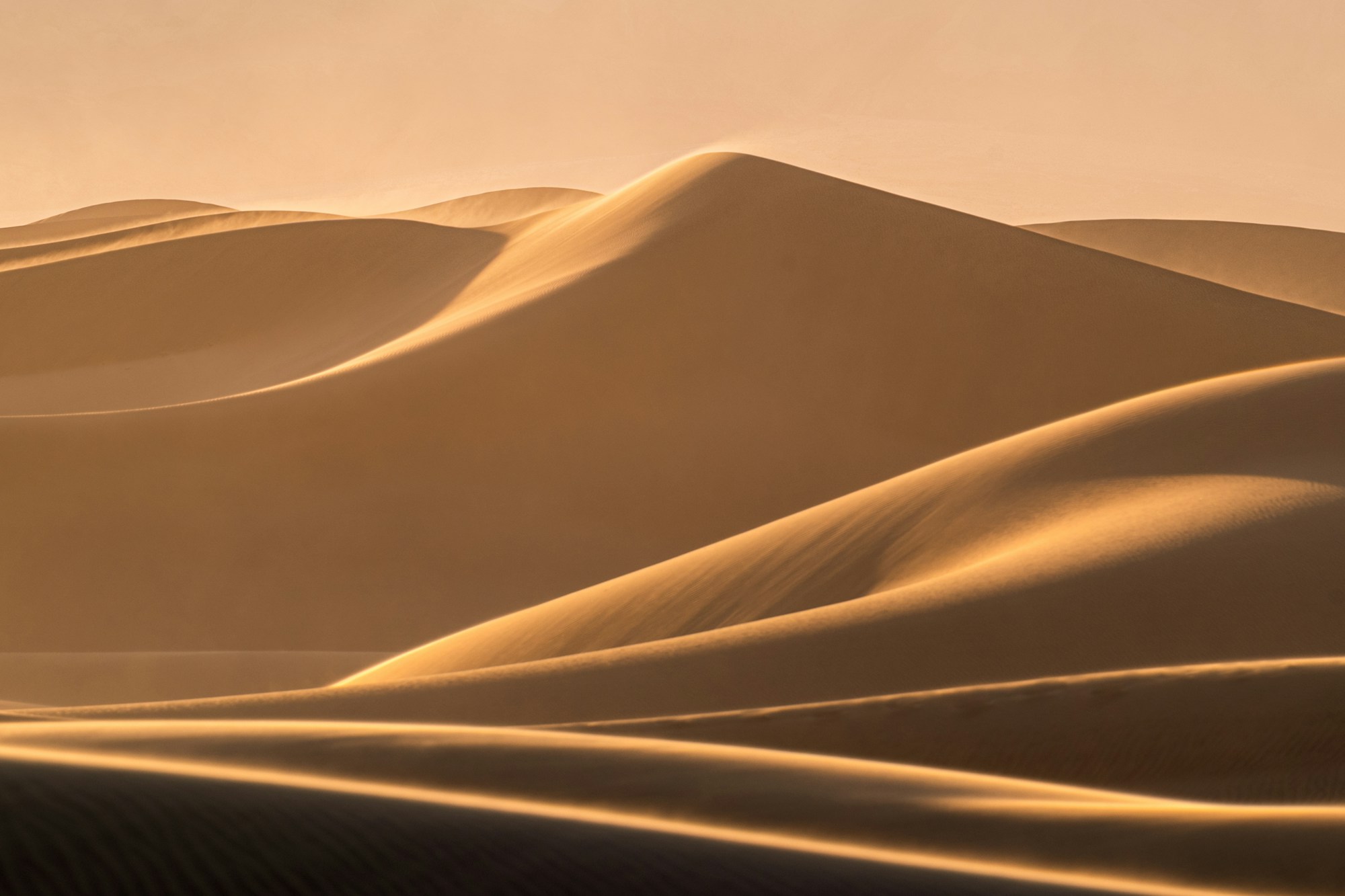 Light and shadow tracing the curves of desert dunes. Photo by Zetong Li / Unsplash.