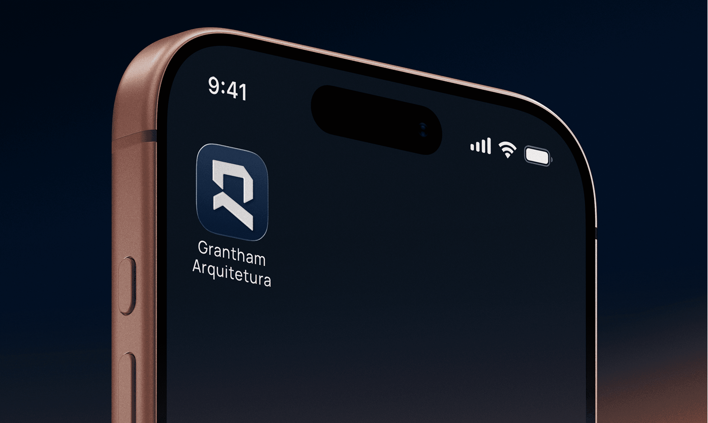 Large Project Gallery Image #4