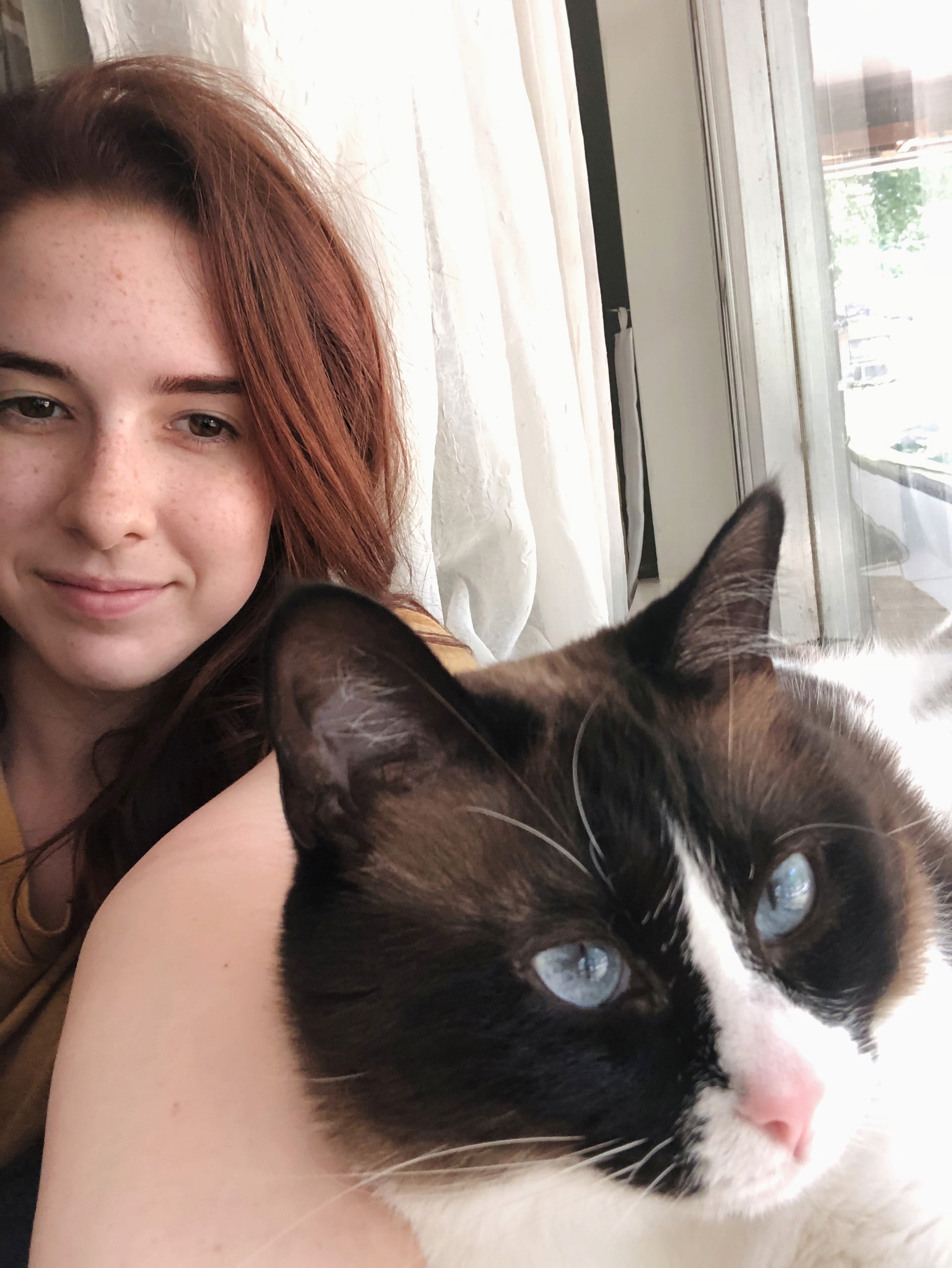 Kathryn sitting next to a window, with her Cat, Eva, next to her. Eva has a pink nose and blue eyes.