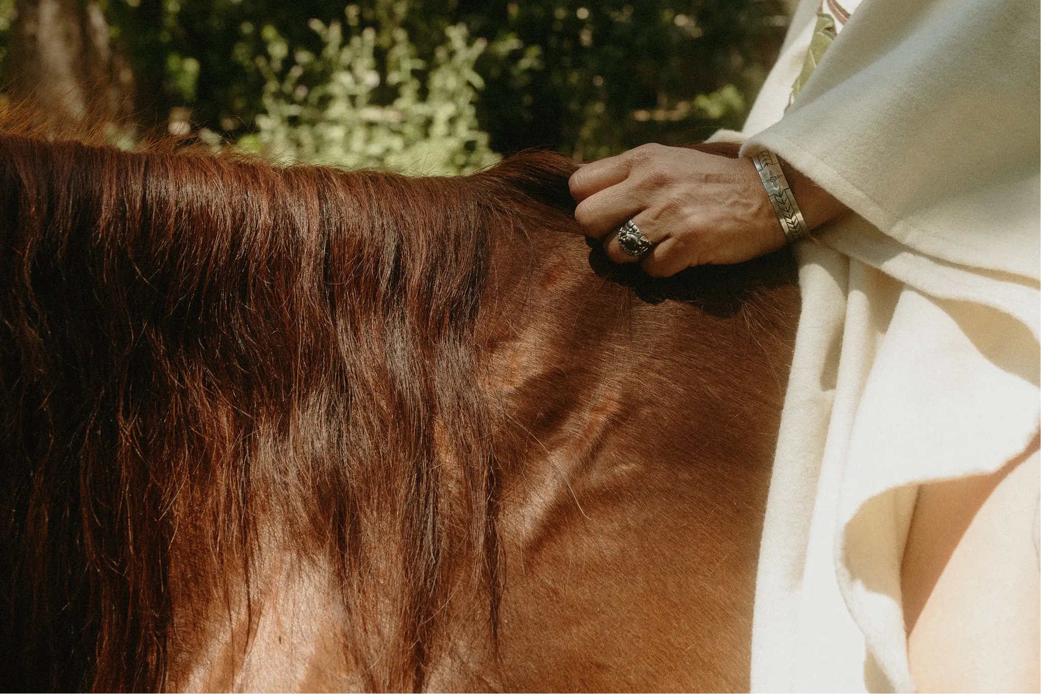Close-up of Sonia with her face beside Corona's mane representing their 30-year bond