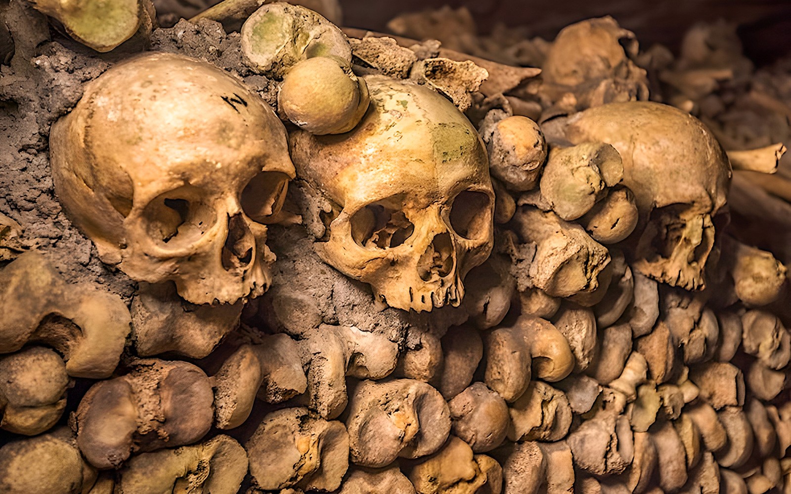 巴黎地下墓穴中的骷髅和骨骼。