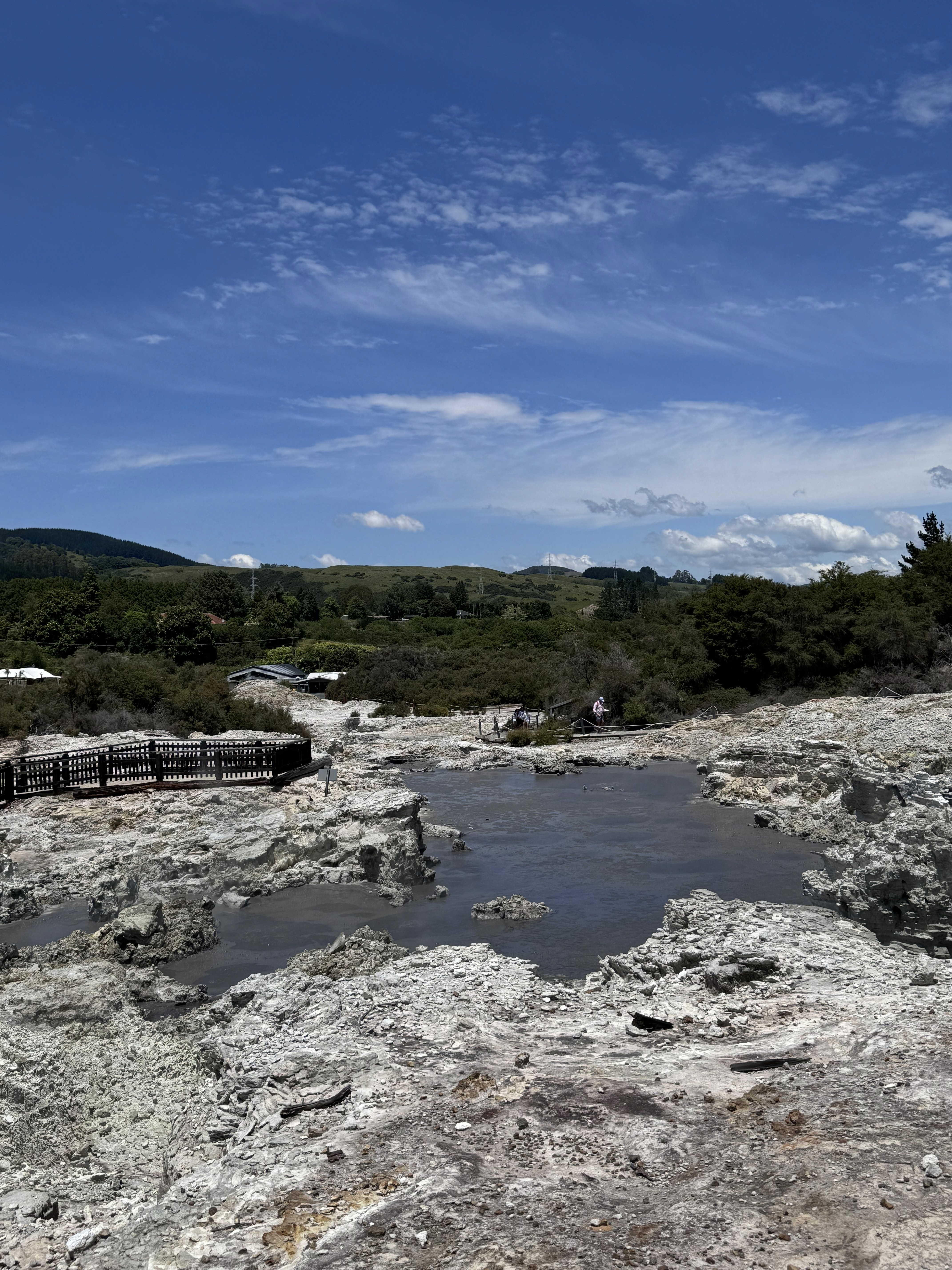 A glimpse of the geothermal walk at Hell's Gate, Rotorua, NZ