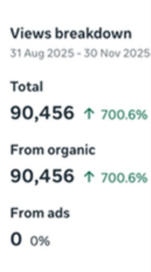 Instagram views breakdown: 90,456 total views, all organic, 0 from ads