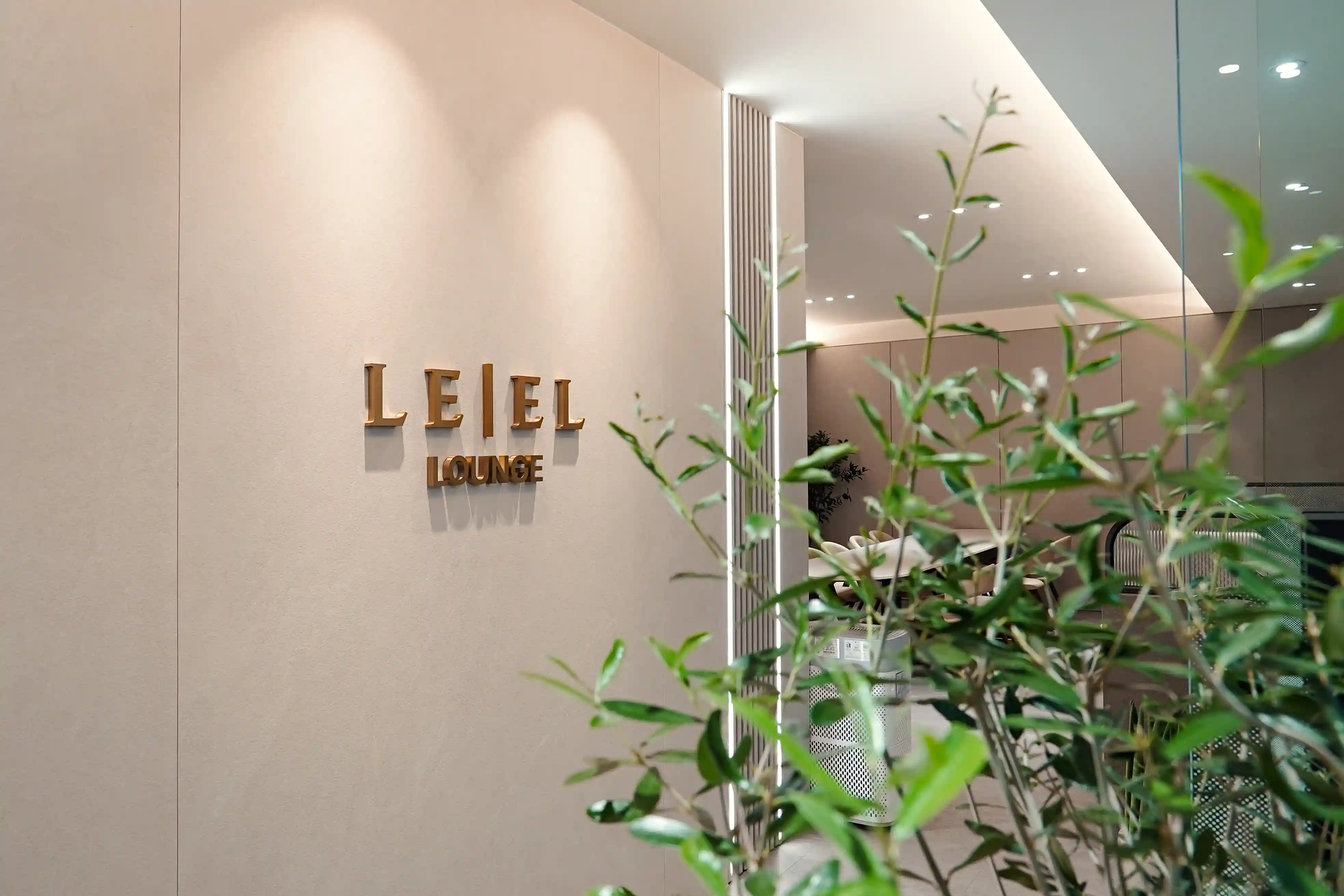 라운지에 올리브 나무 화분을 설치하였다.