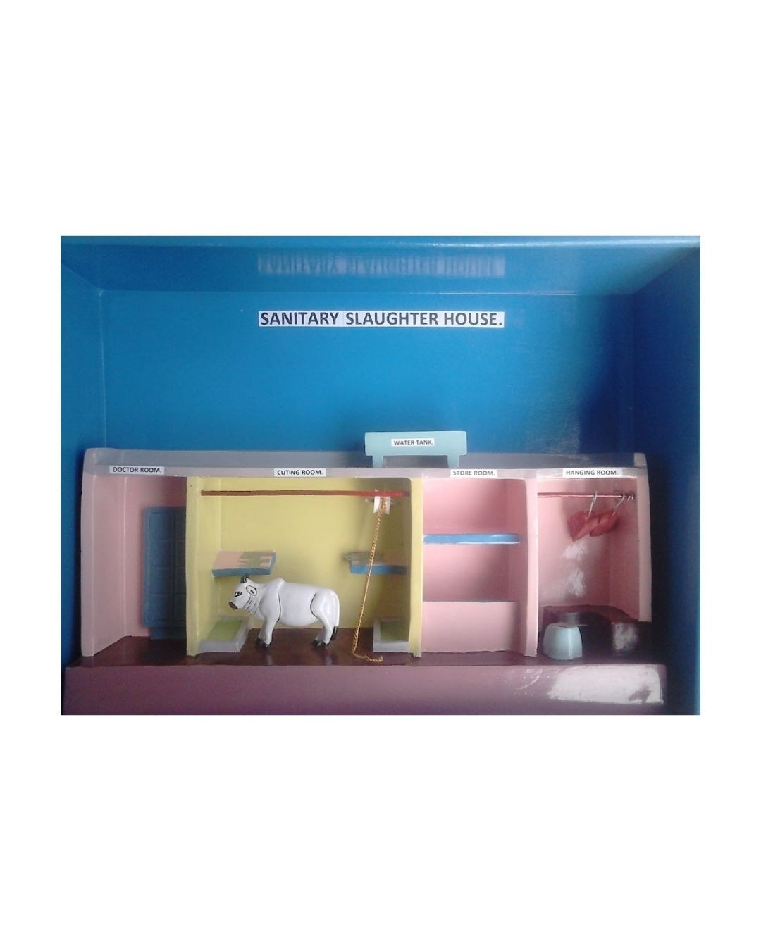 Sanitary Slaughter House