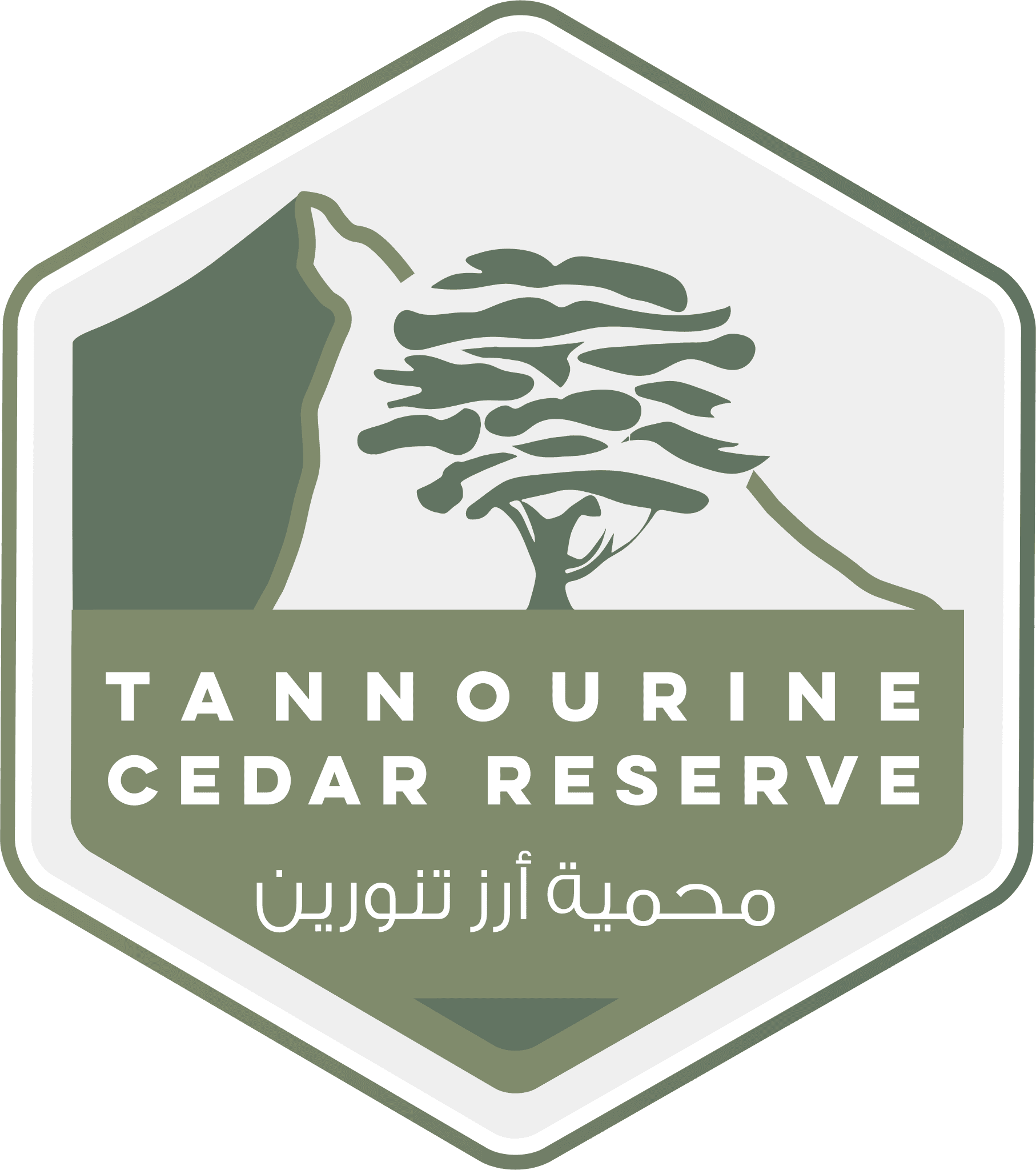 Publication Logo