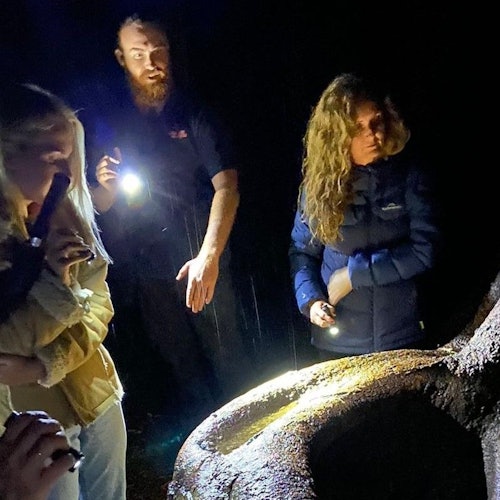 Nocturnal Evening Rainforest & Glow Worm Tour from Gold Coast tickets