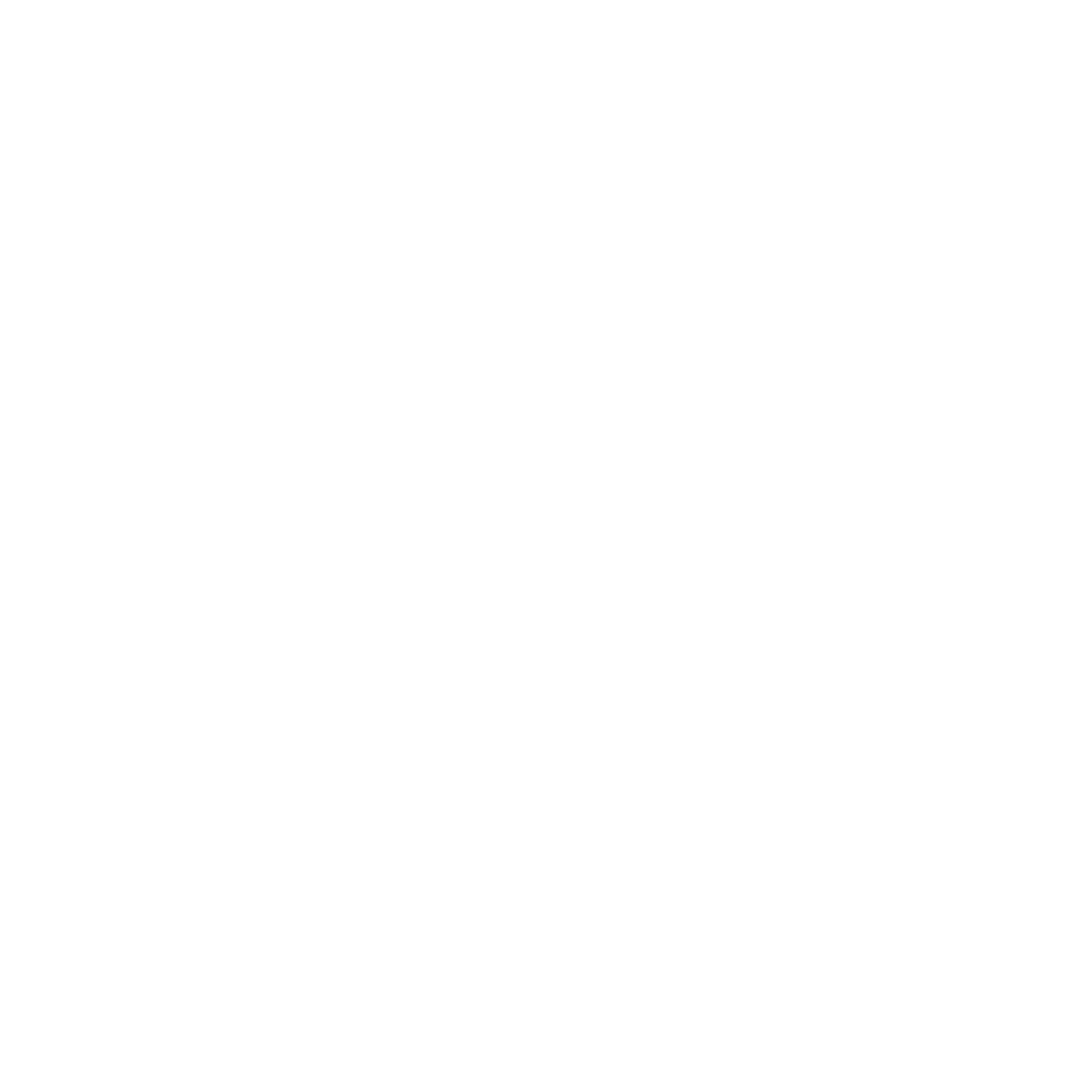 Logo iiyama