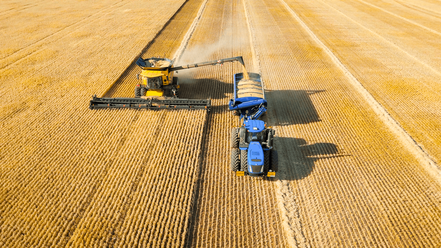 Wheat being harvested in NSW Central West
