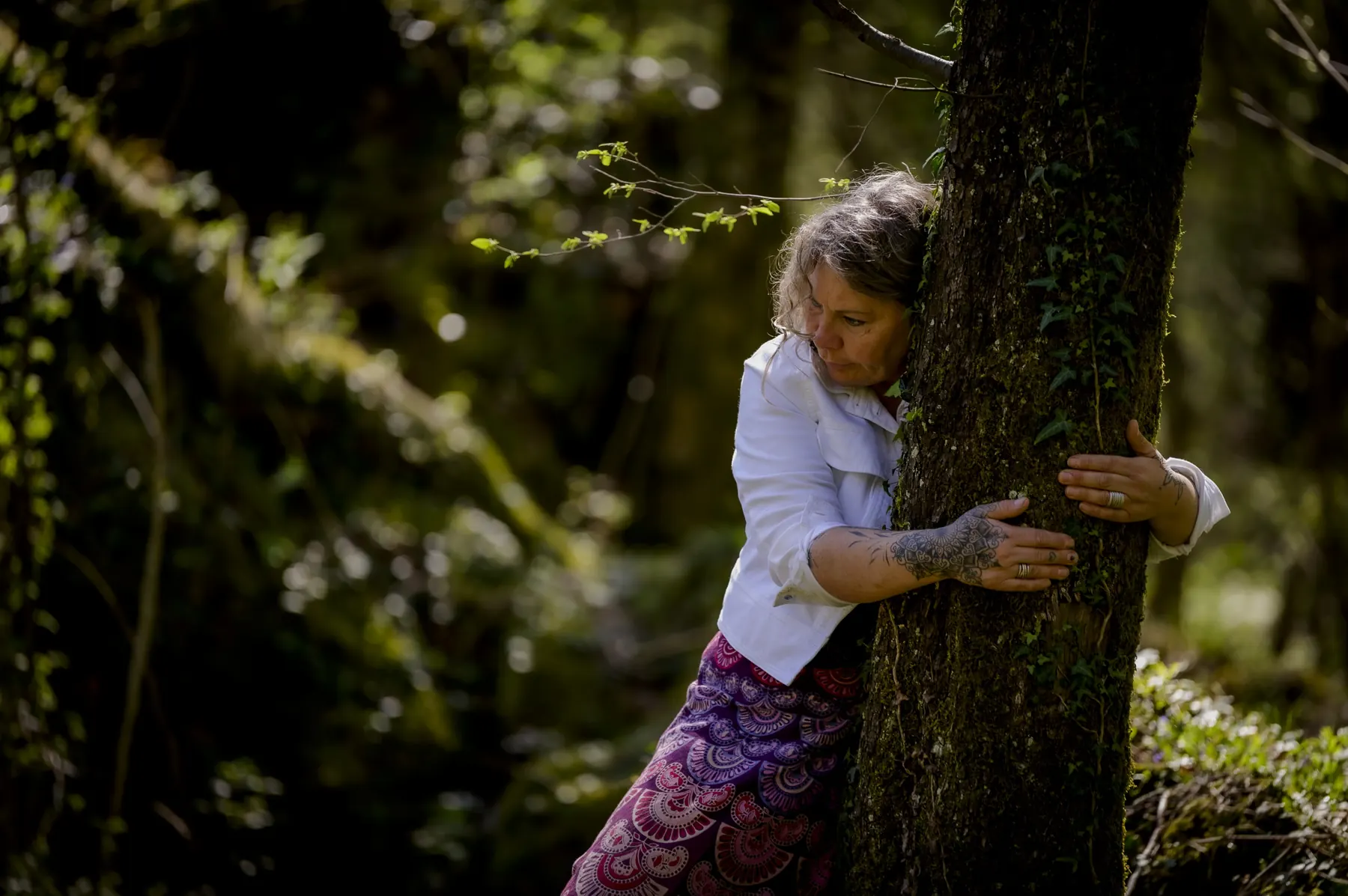 Daya abbraccia un albero nel bosco