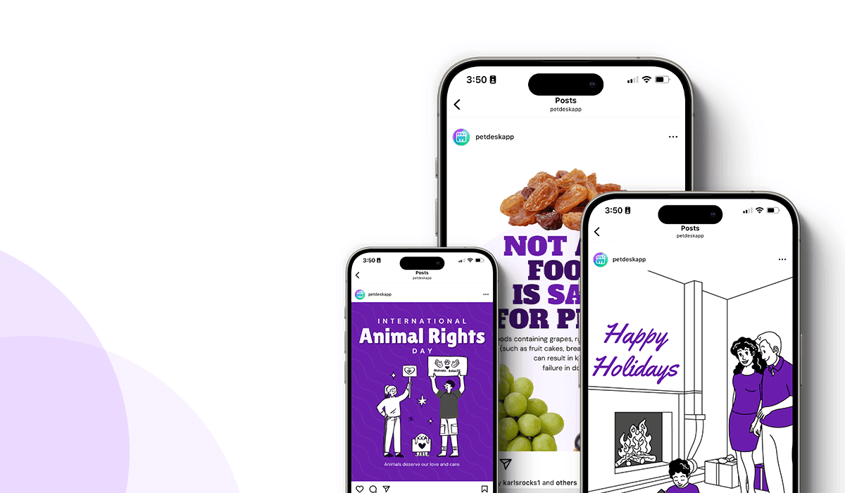 December Marketing Freebie Graphics