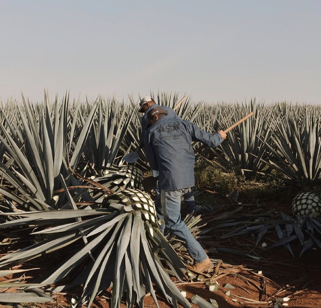 Woman portrait at Bellevoire
