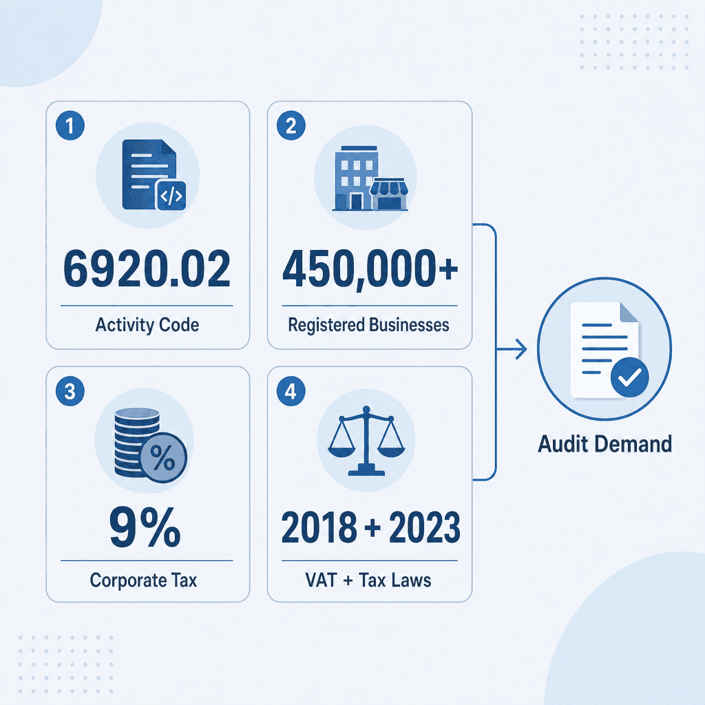 Infographic: Start a Preparation Or Auditing Of Financial Accounts Business in Dubai