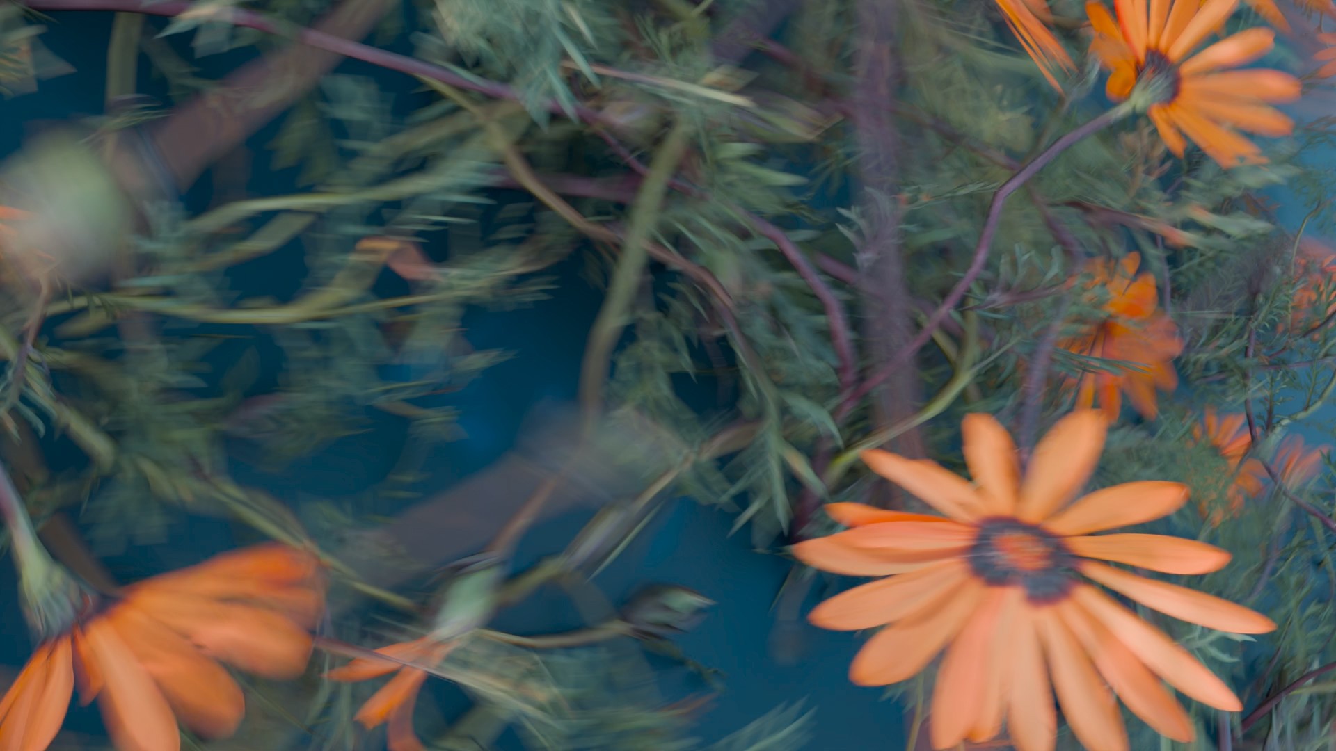 Image of a Gray to white soft gradient