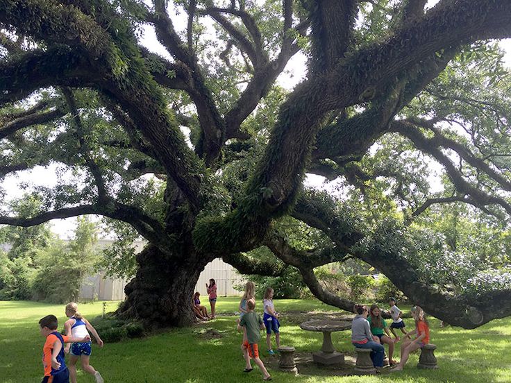 Maison Reverie - Lake Charles, LA
