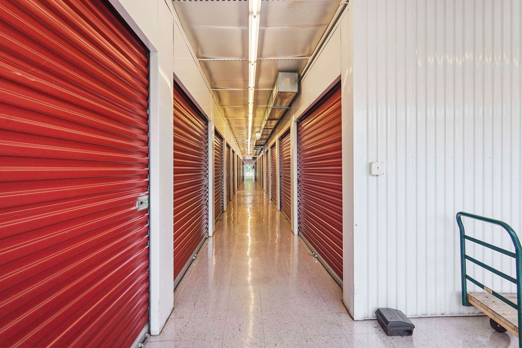 Two men greeting with hand