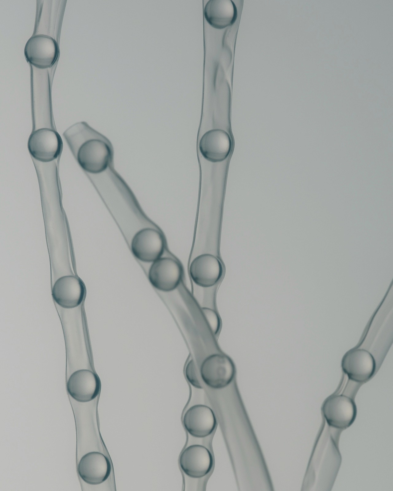 Lateral