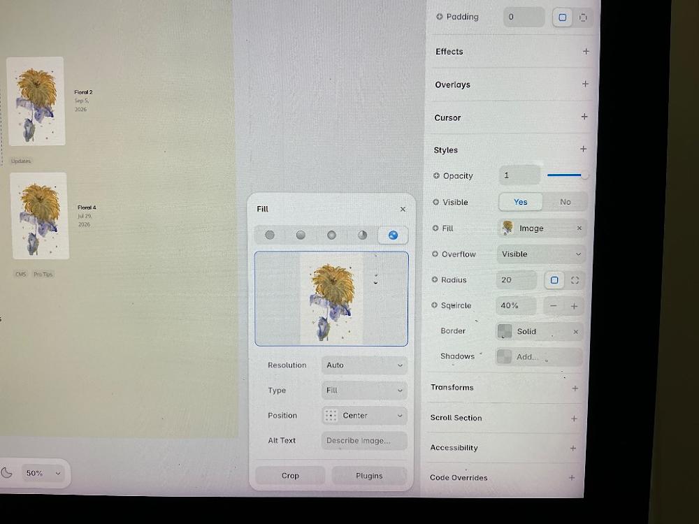 Visually searched image