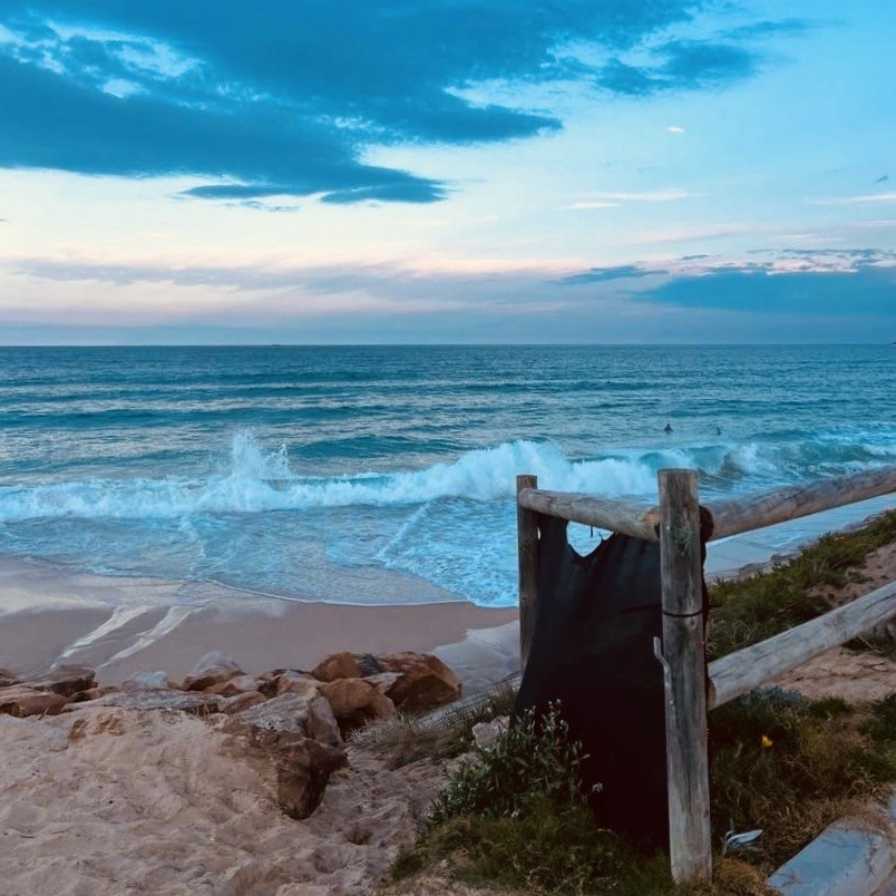 Beach with wooden fence