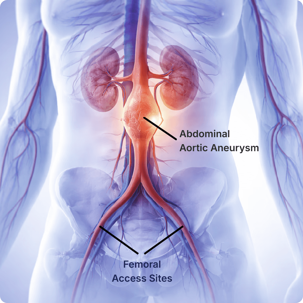 Silhouette of a researcher examining a slide under a microscope with a blue background.