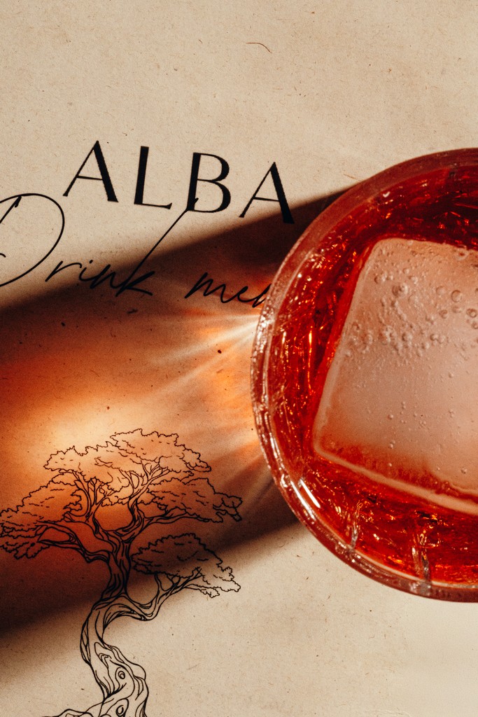 Album Photo Real Mehedi Free Framer Template Photography