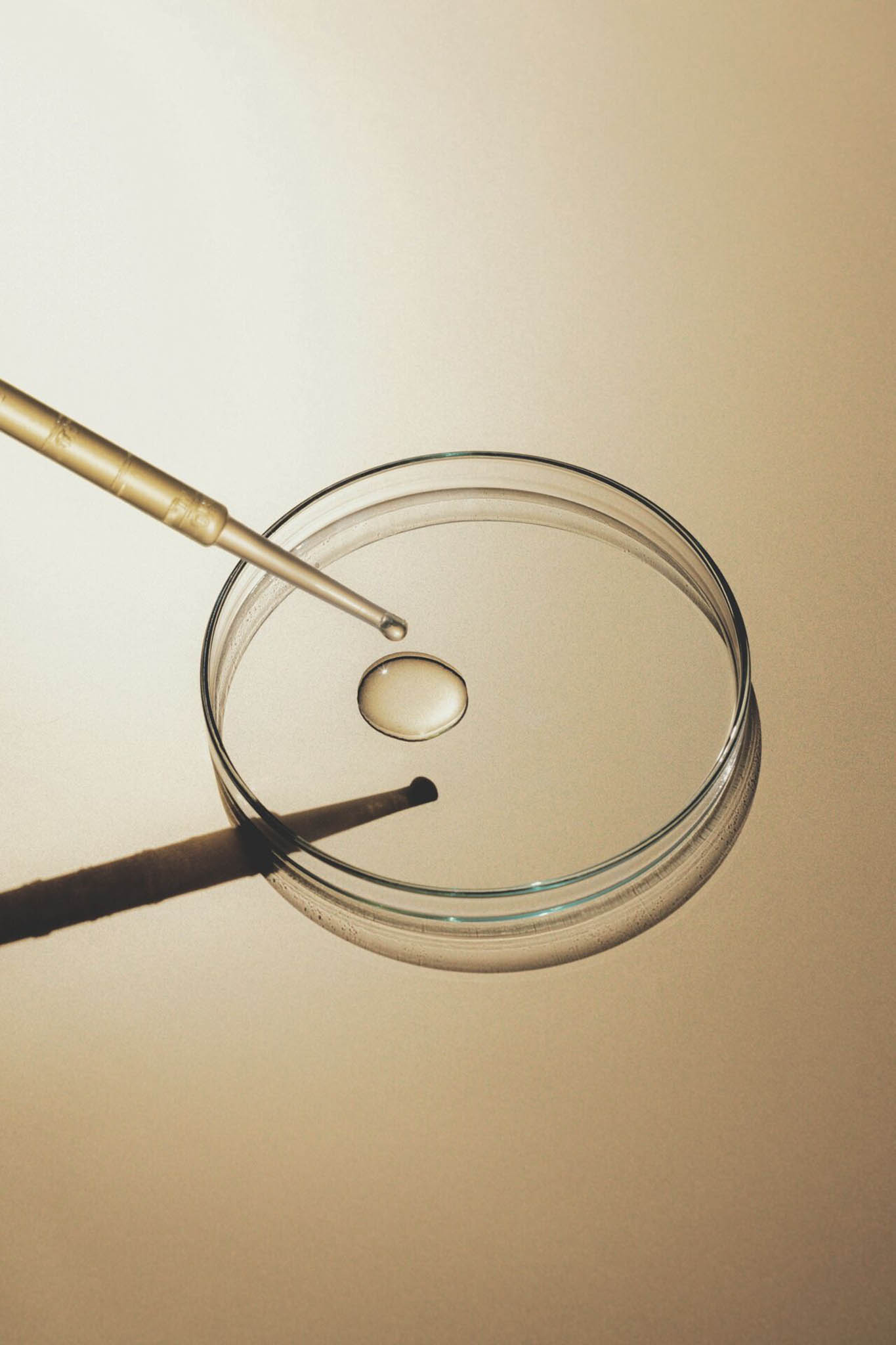 boite de pétri avec une solution à l'intérieur déposée par une pipette