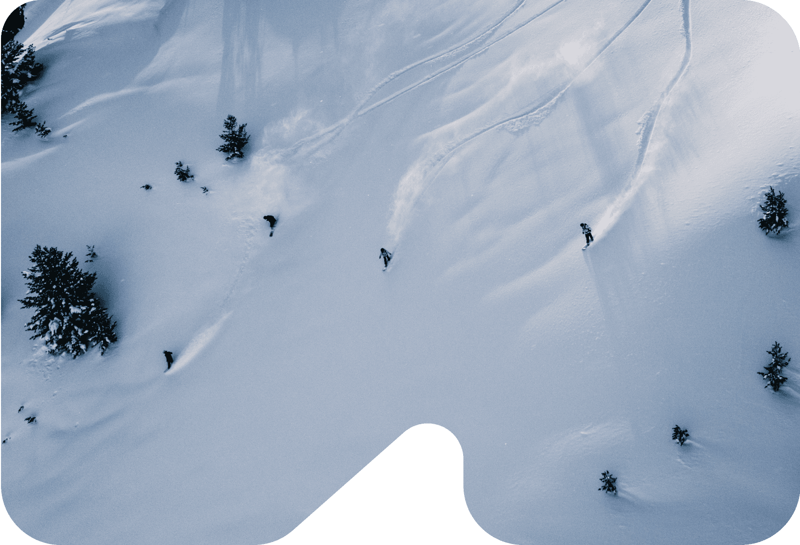 Groupshot powder snowboarding day in Kosovo