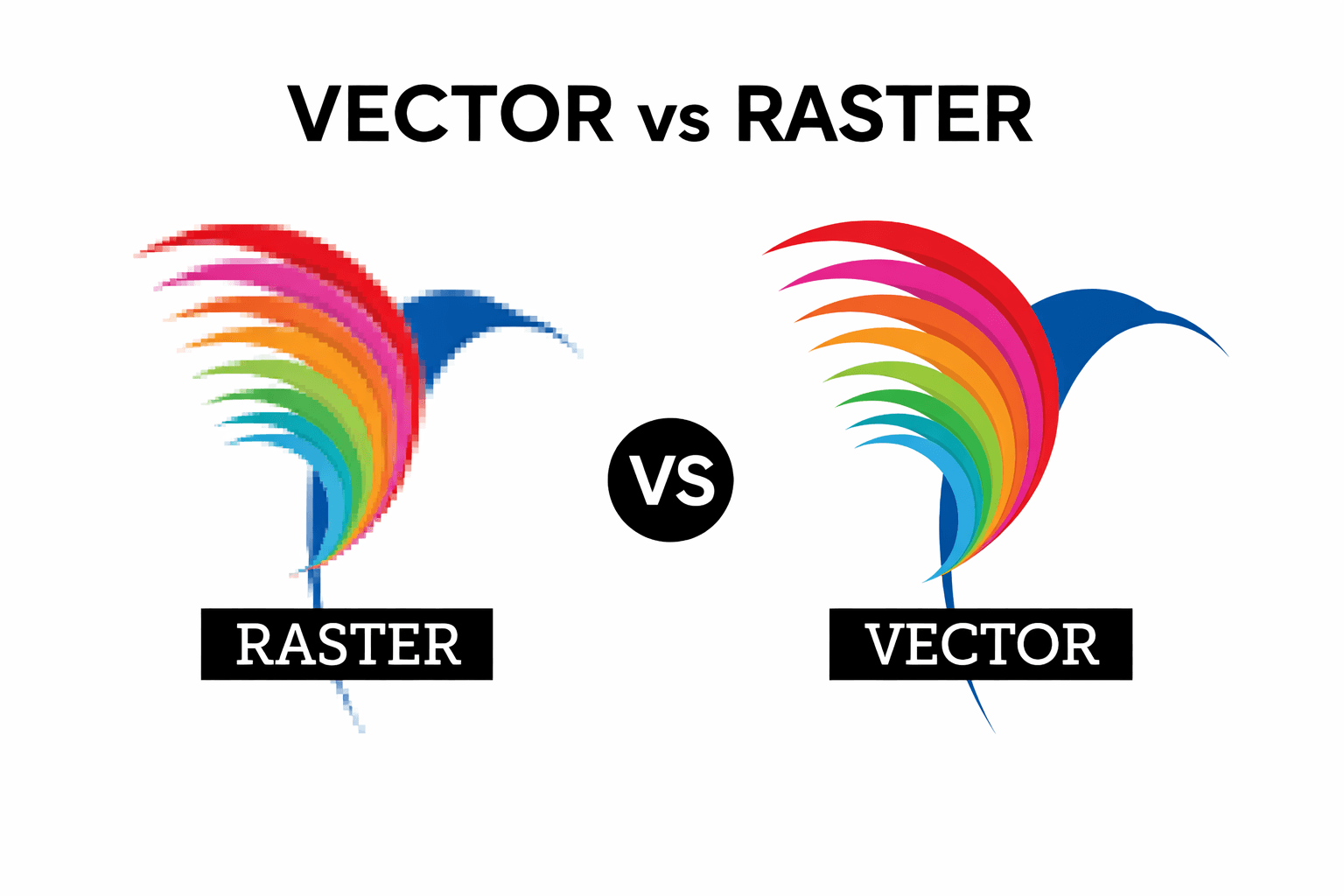 Vector vs raster graphic comparison showing pixelated raster image and smooth scalable vector artwork.