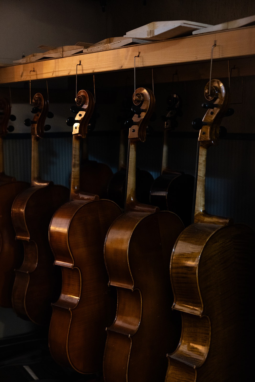 Vioolbouwer Fotografie