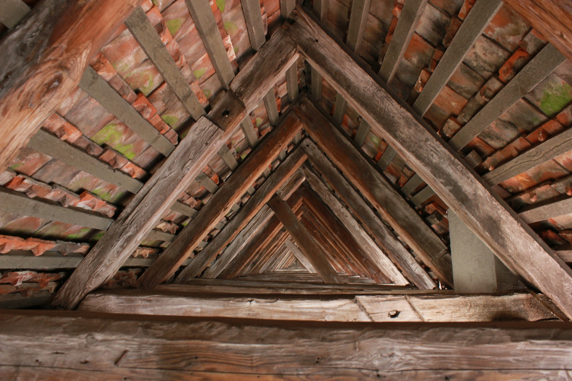 The old roof beams and tiles