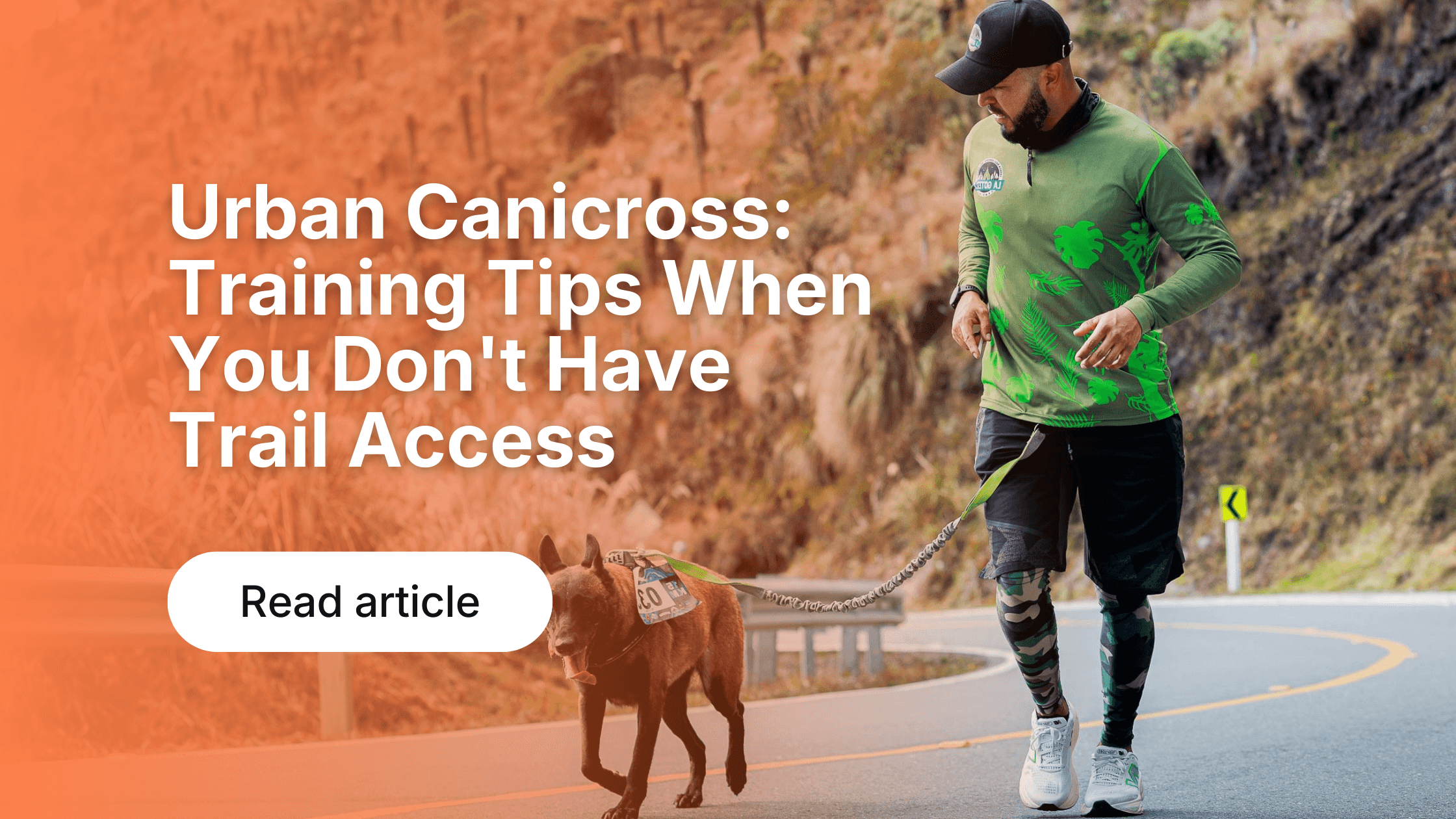Dog Activity Tracking: Why Data Improves Health & Fitness
