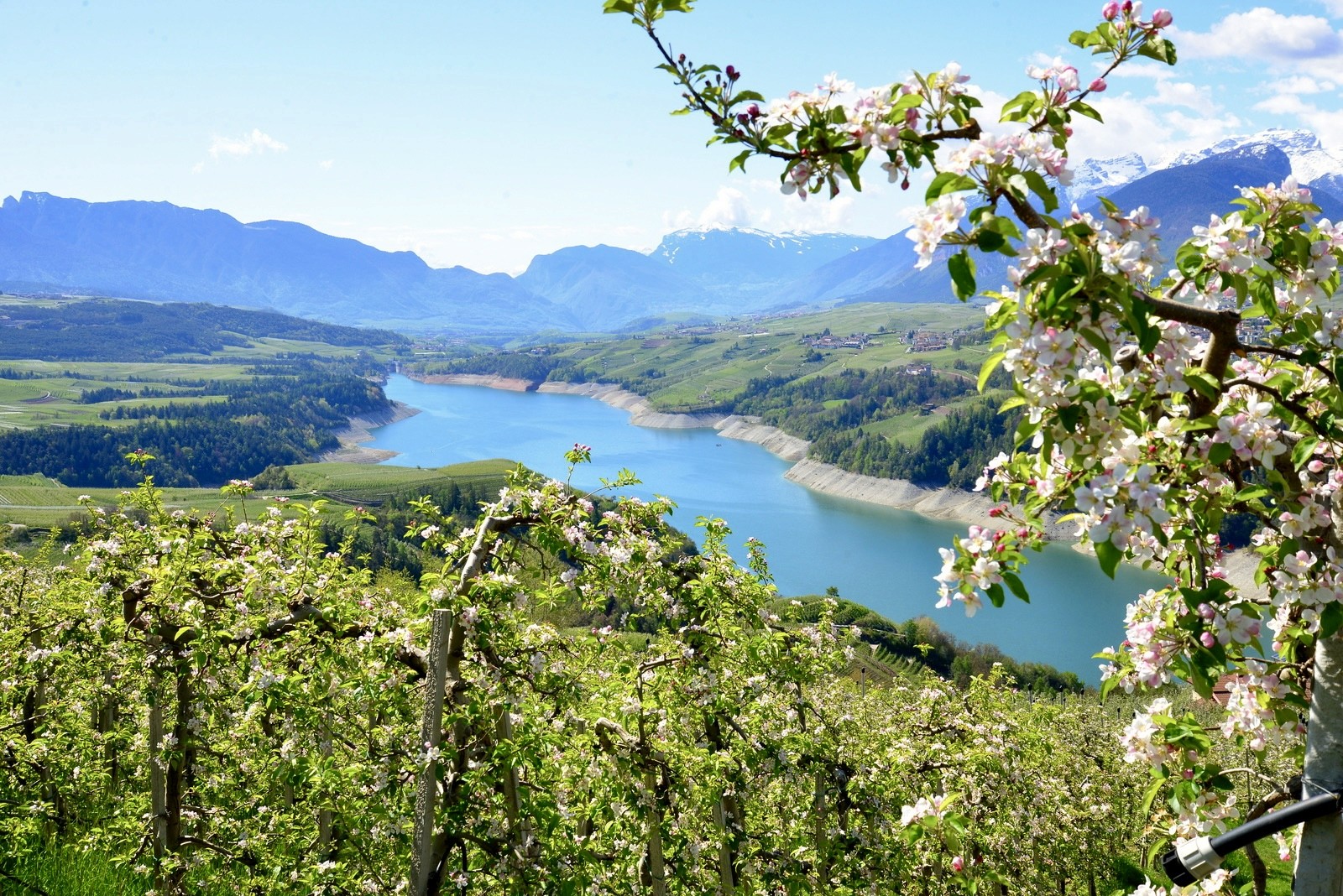 Precision spinning for Lake Trout with a 2.40m rod in the deep alpine basins.