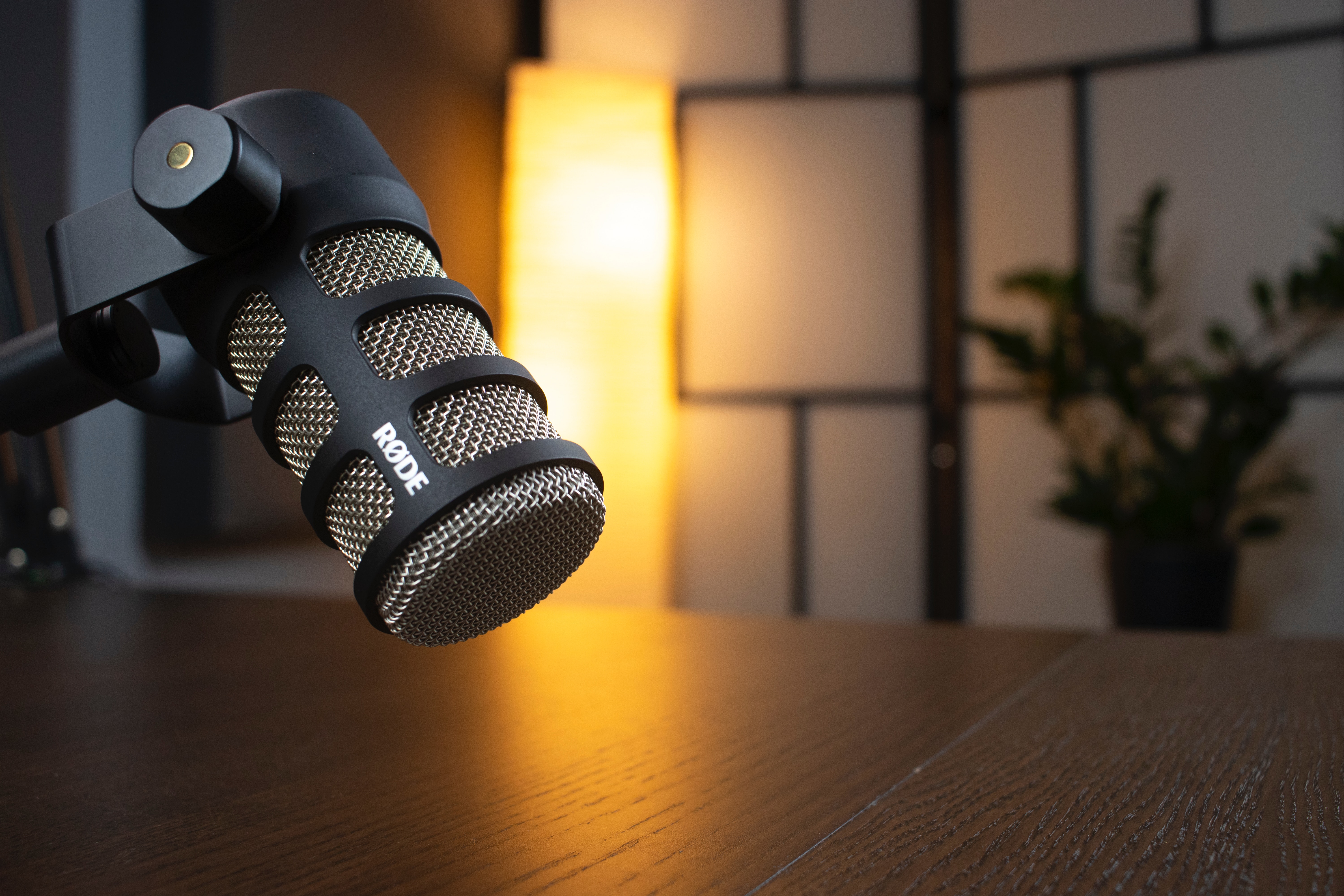 a mic in a lit background - Beatoven Ai vs Musicfy