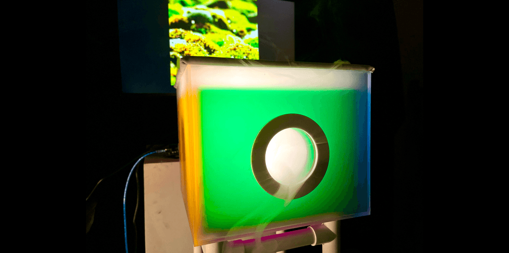 Interaction Installation