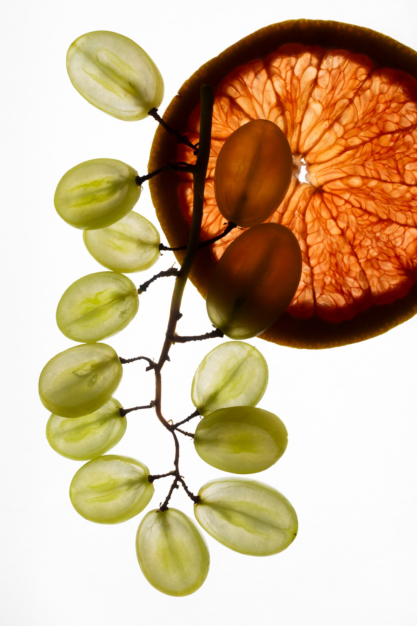 Fruits & Vegetables