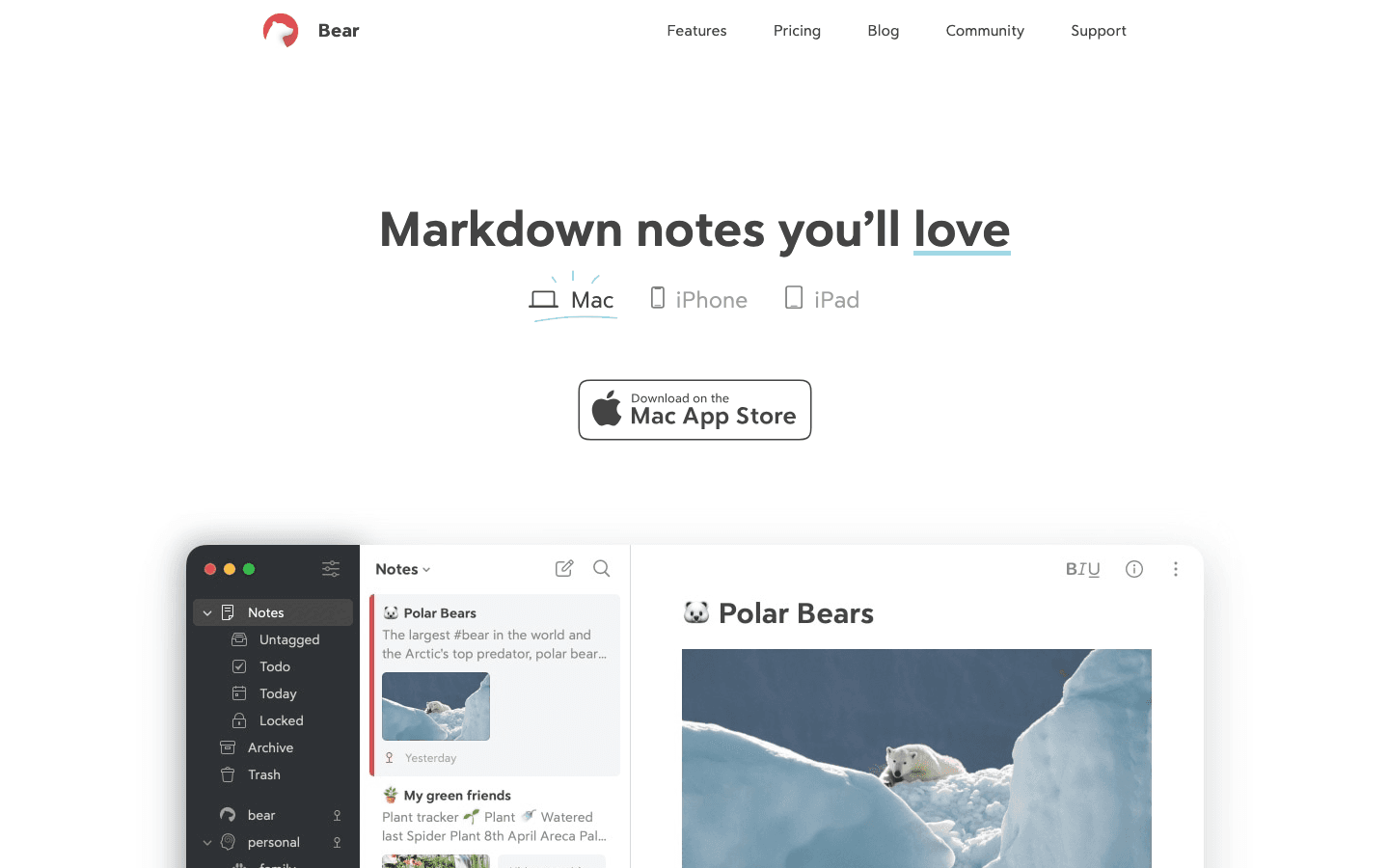 Bear writing and notes app