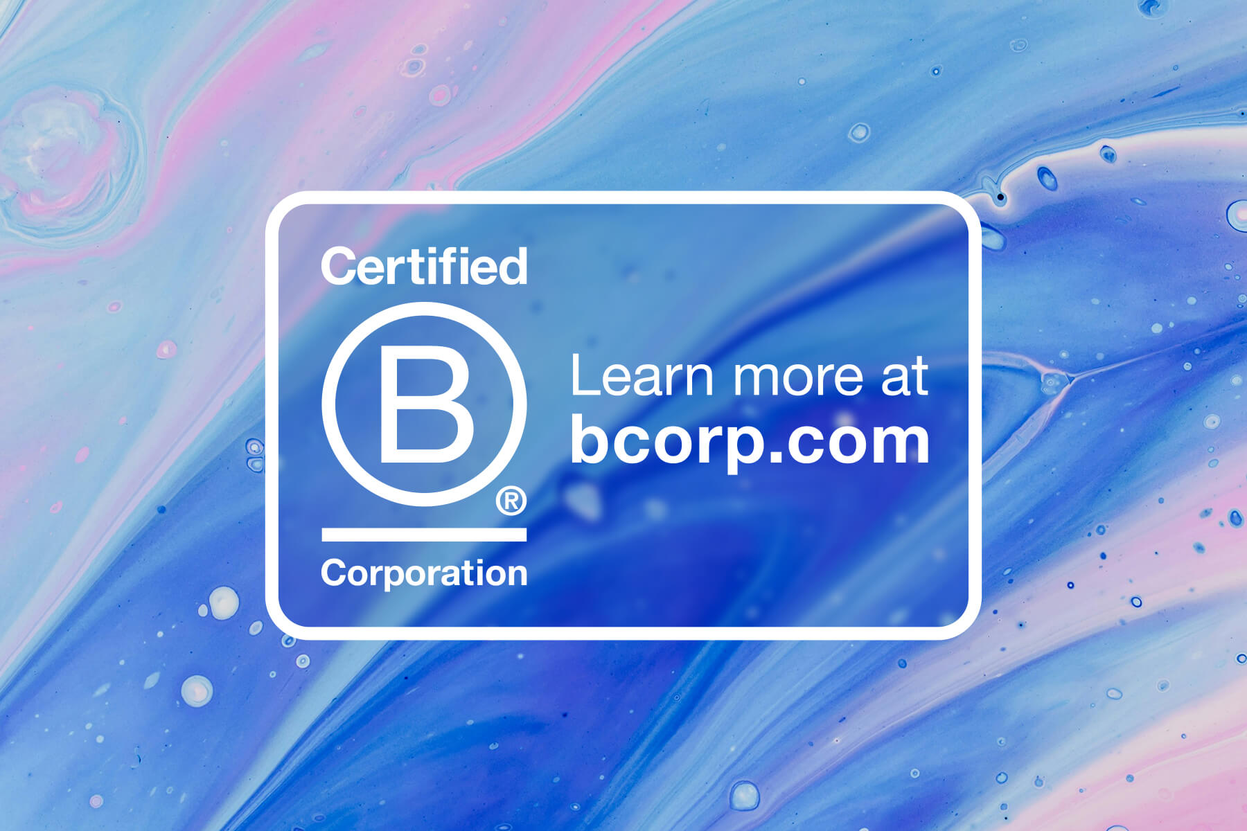 Hot off the press - we’ve just had our B Corp accreditation renewed!