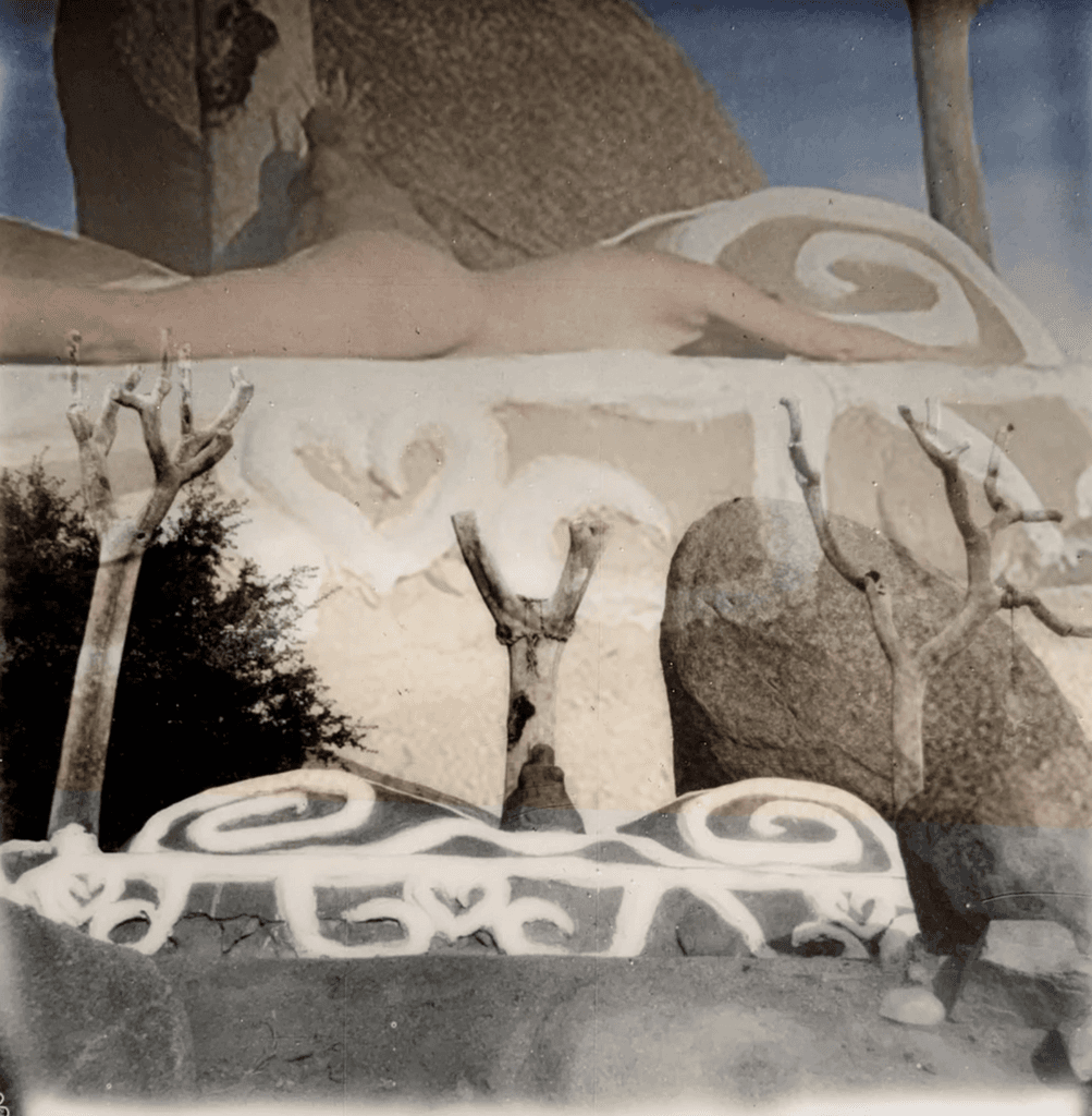 Art, photograph 17