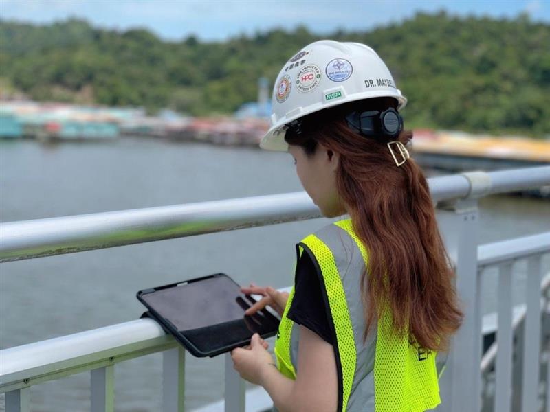 Engineer with Eagle INSPECT