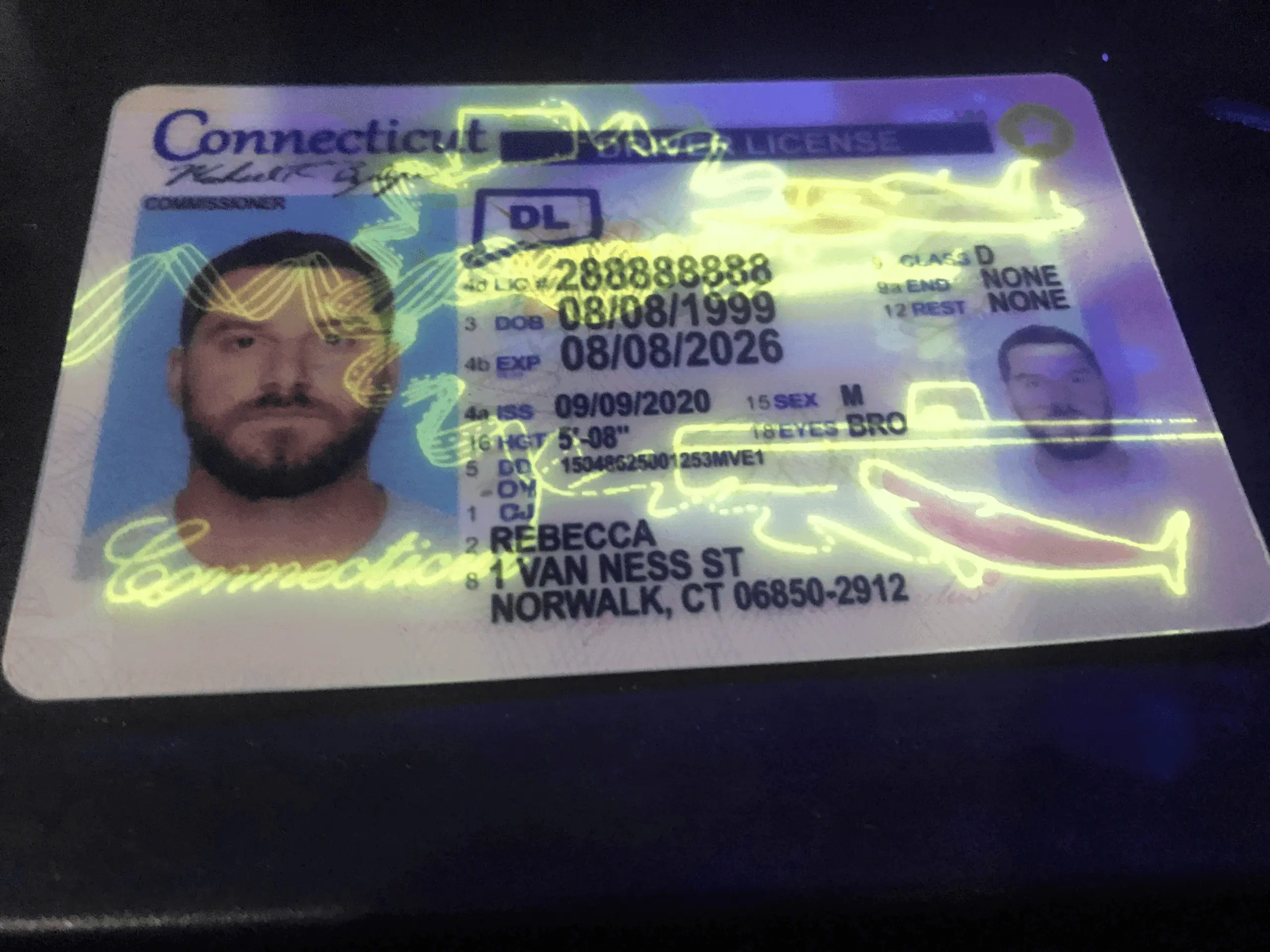 Holograms on a fake id under blacklight