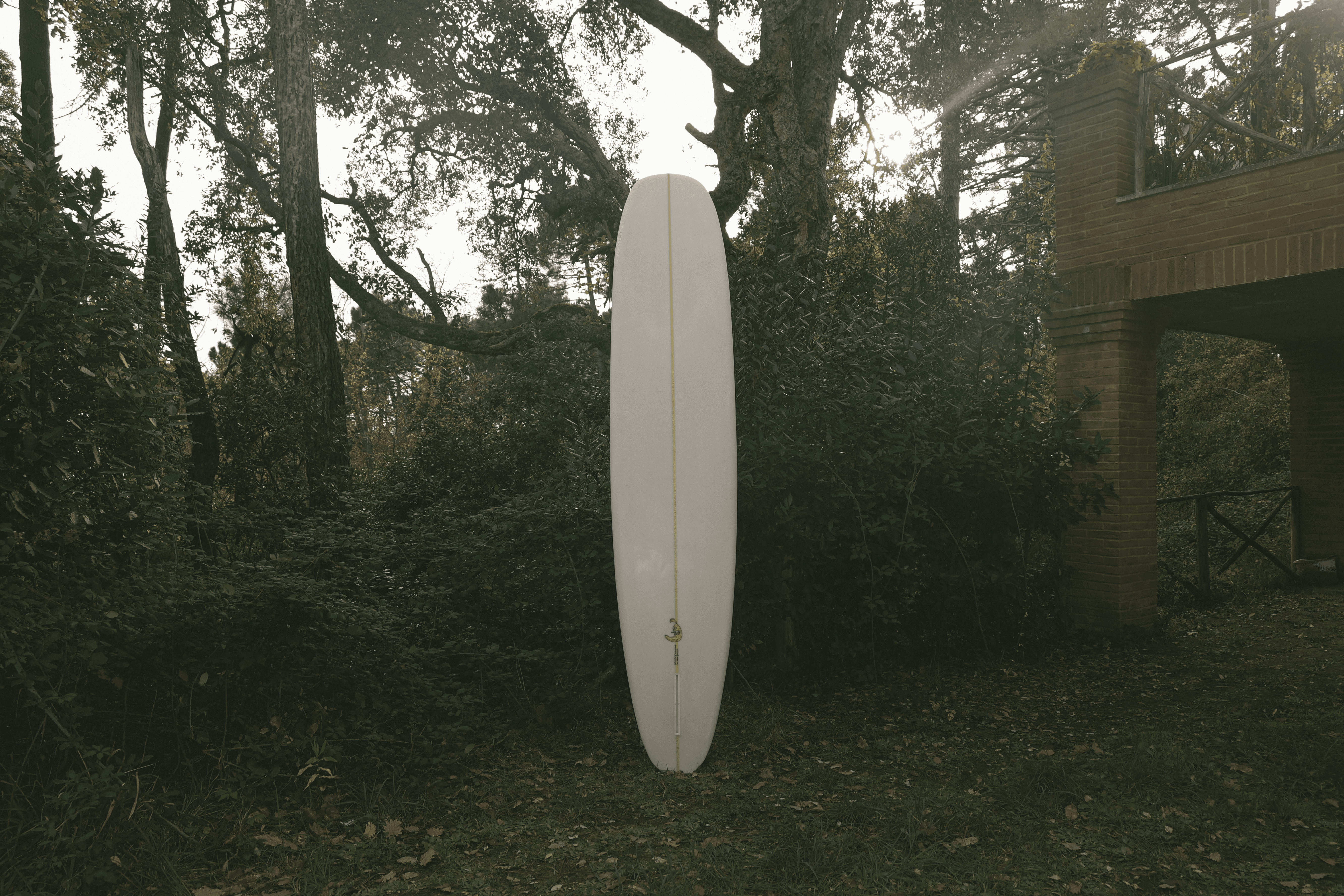 Lonboard da surf gros michel esposto in piedi su un prato verde con alberi sullo sfondo. 