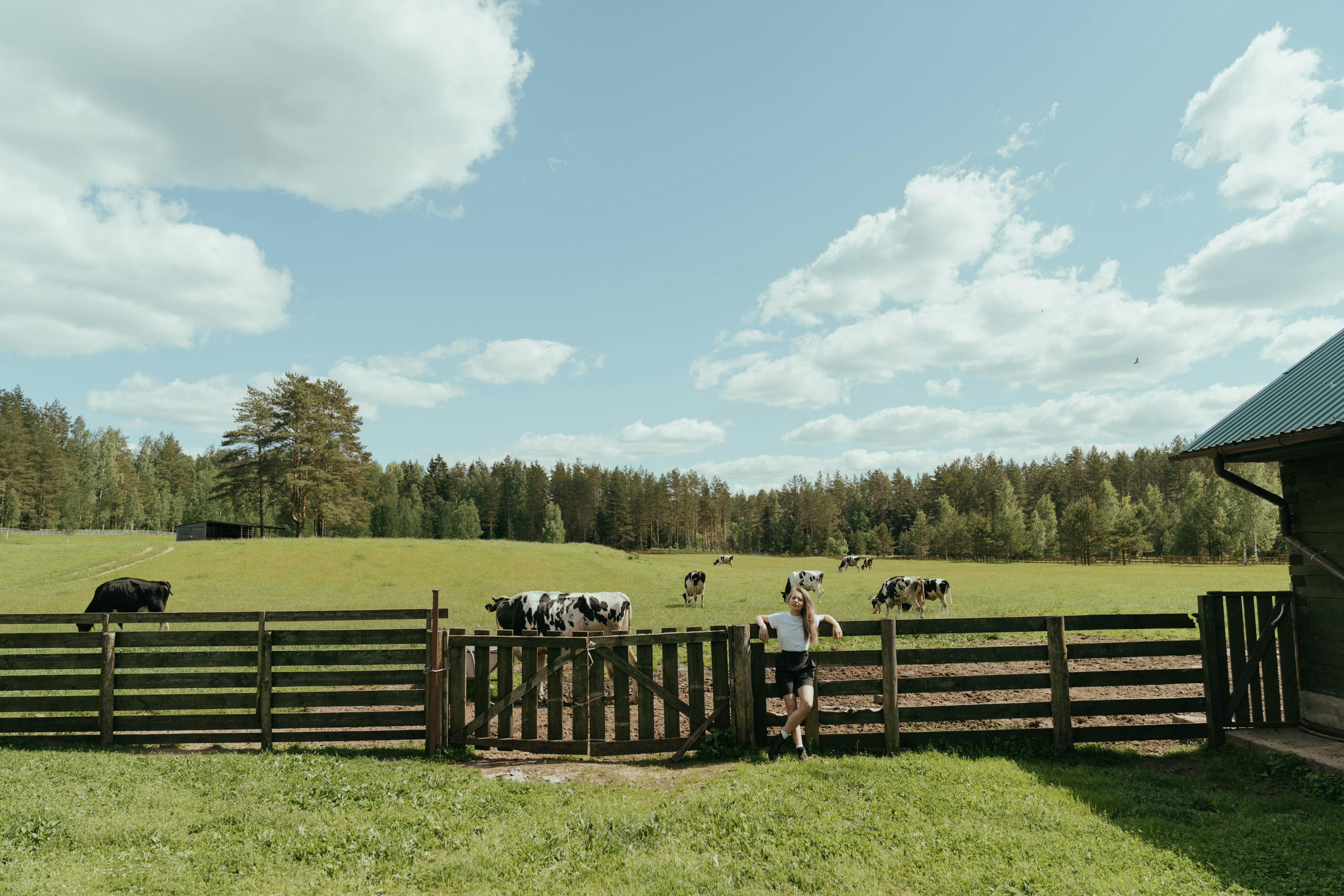 Huntsville Food & Farm Hub photo 8