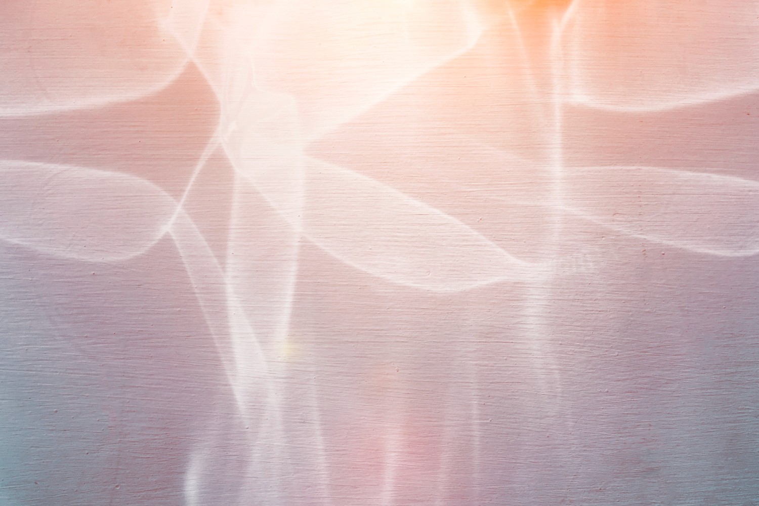 no fillers supplement transparent ingredients supplement