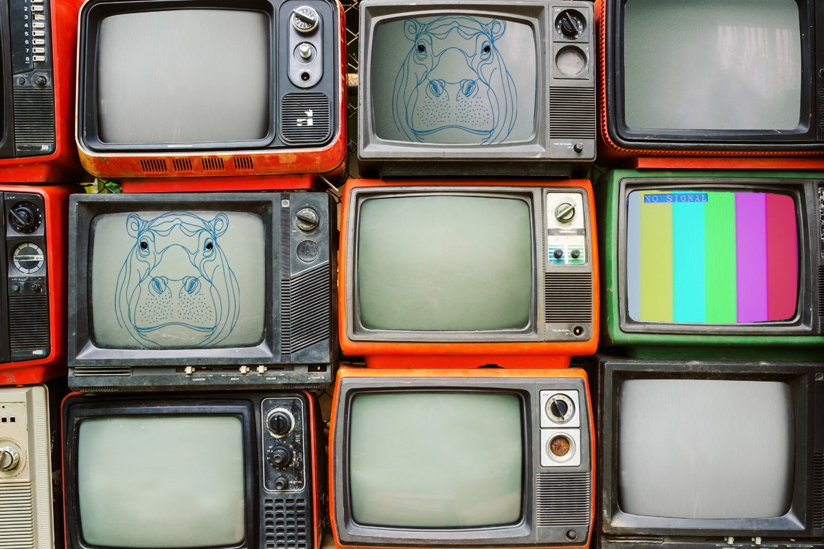 Background image depicting Hippo Media creativity.