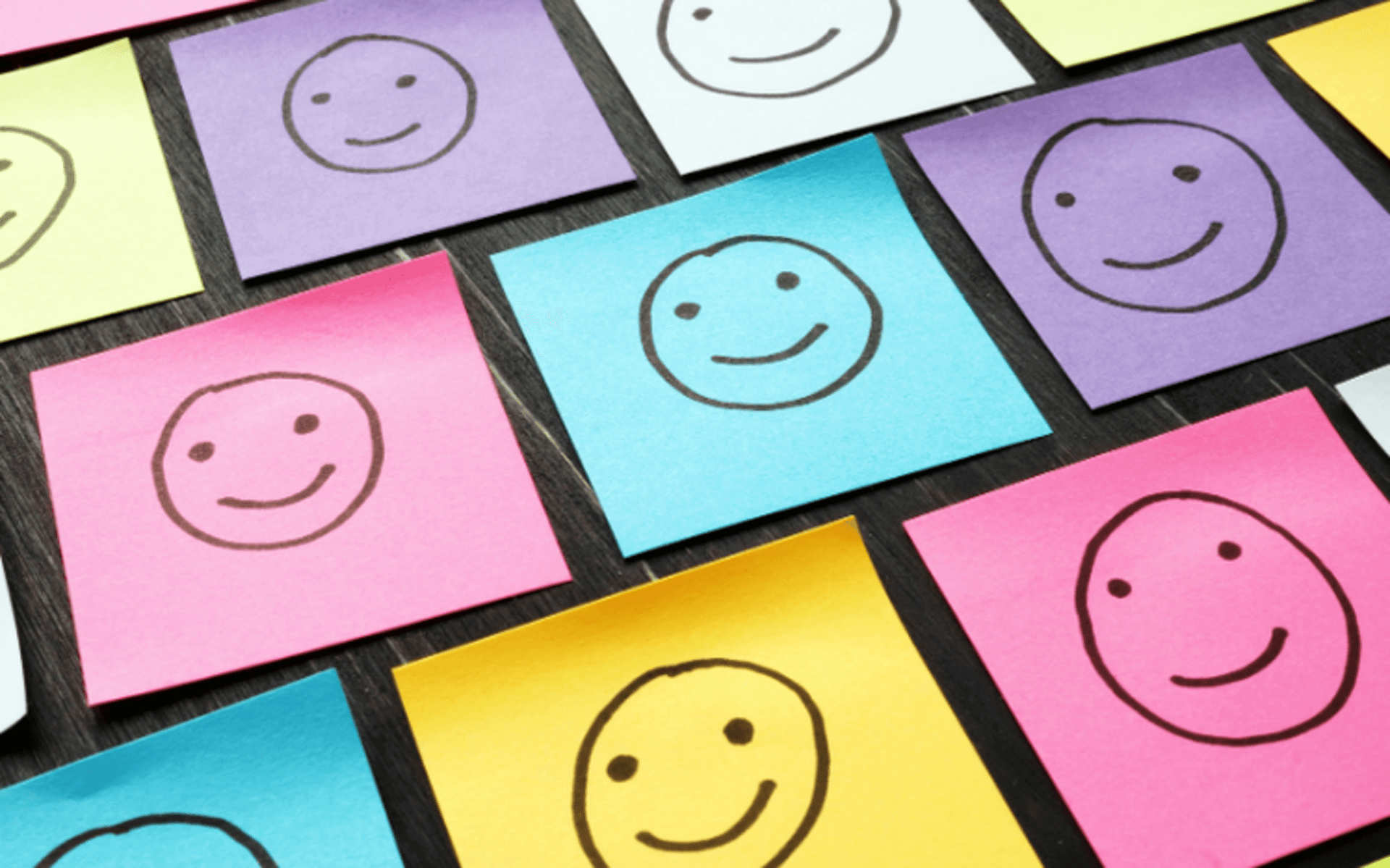 7 steps to building an effective voice of the customer program